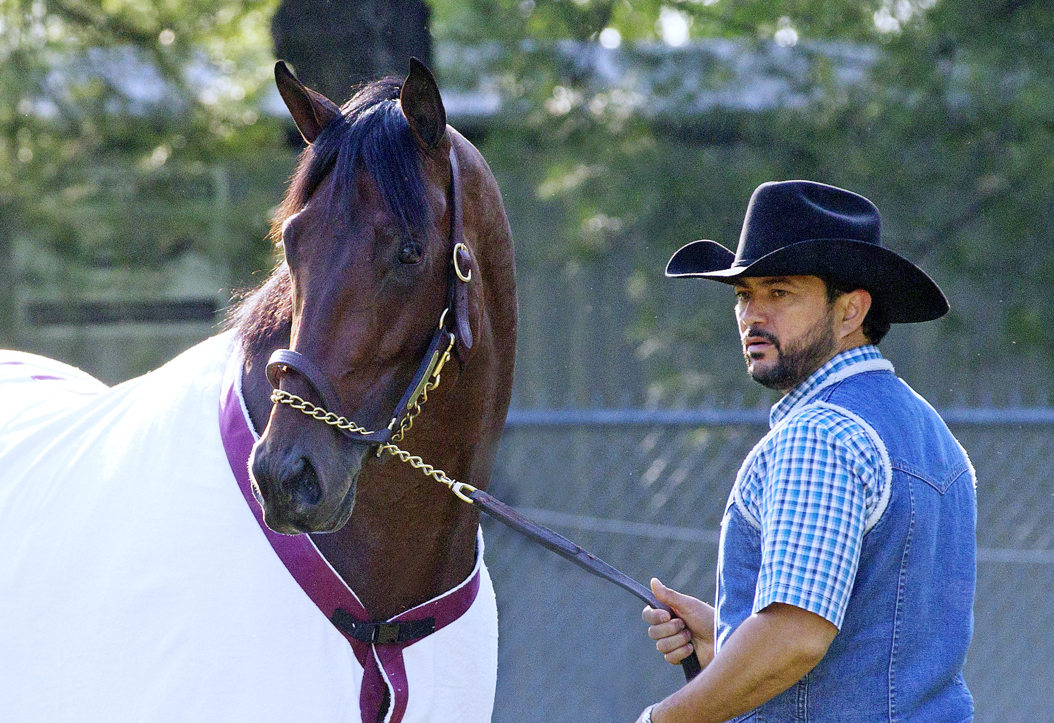 Firing Line at Churchill Downs