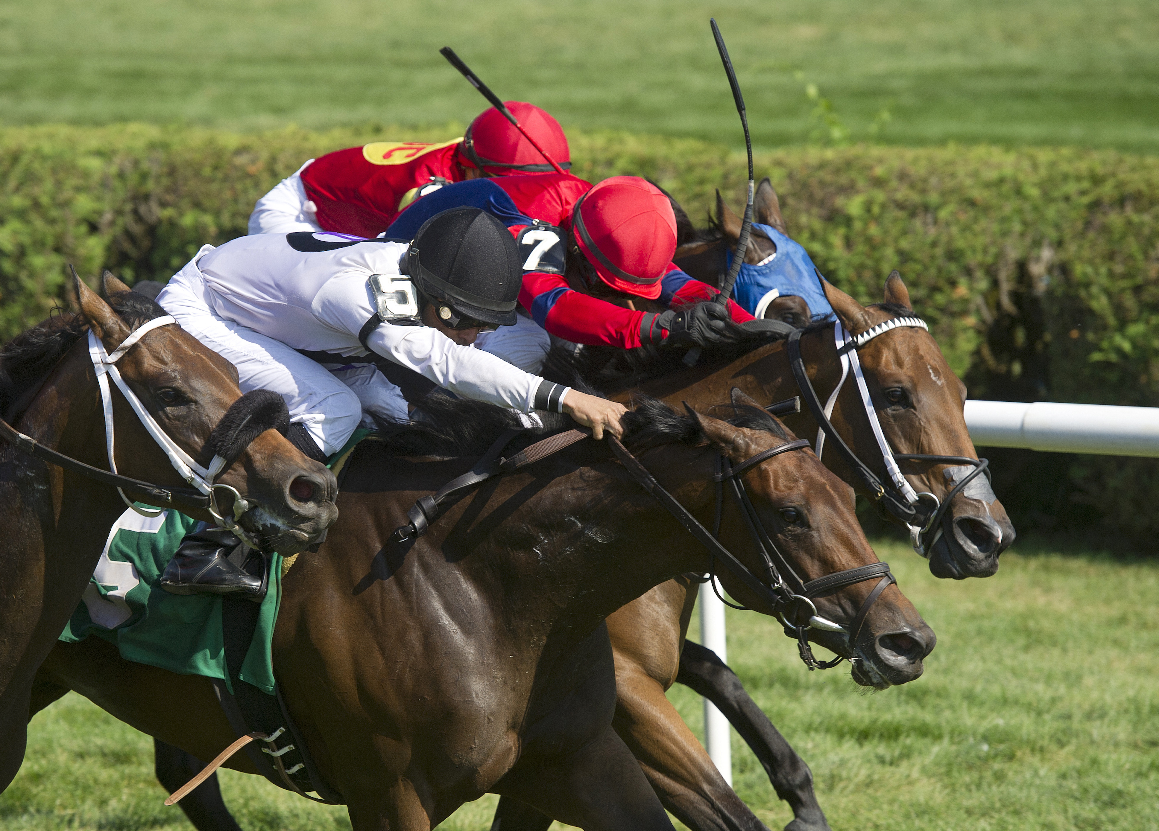 First Appeal wins an Aug. 3 allowance race at Saratoga