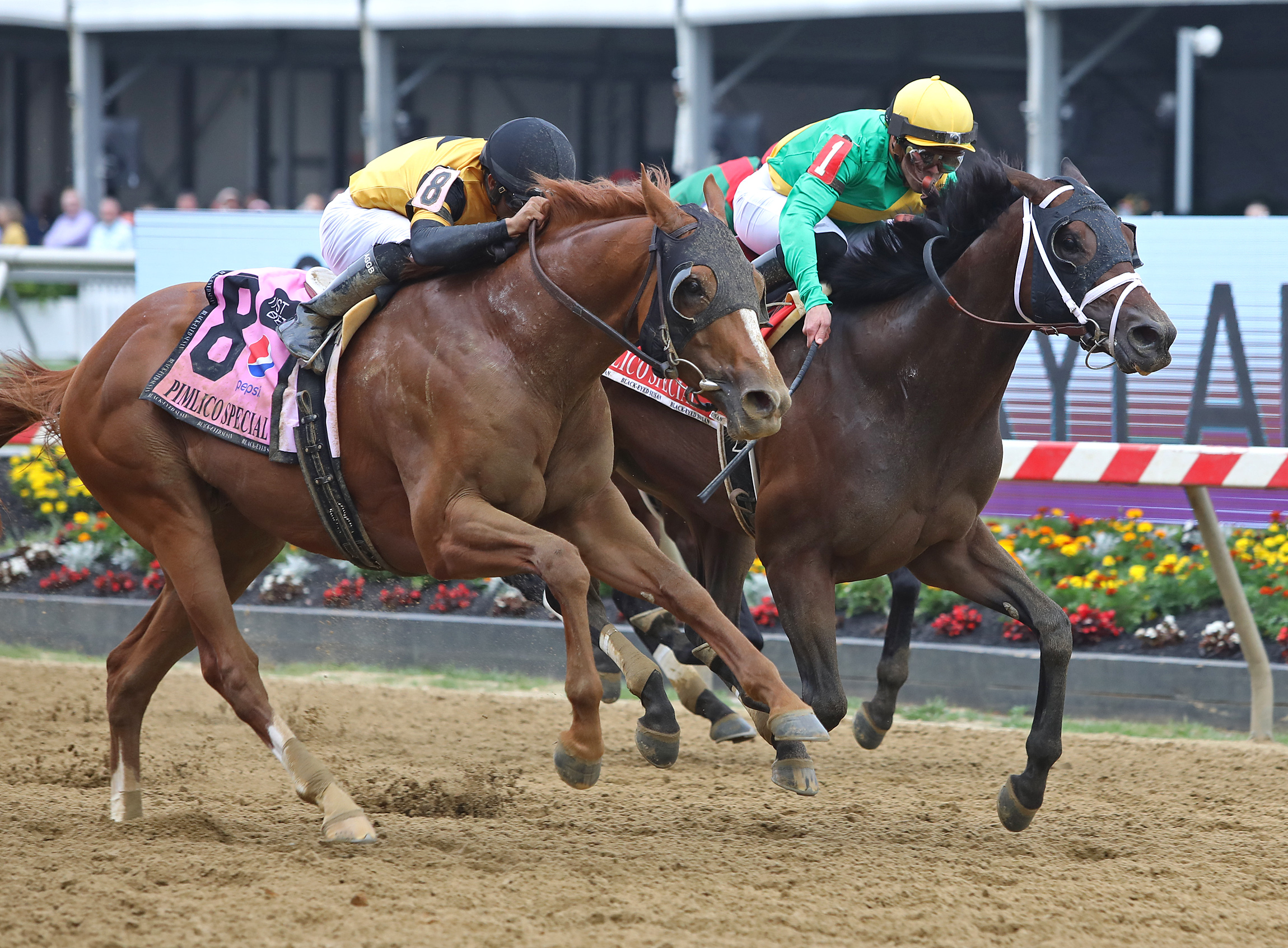 First Captain (No. 8) just gets up to beat Vindictive in the Pimlico Special on May 20 2022