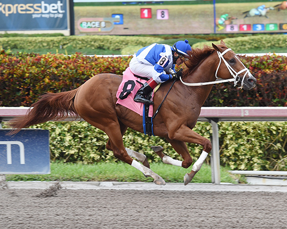 First Mondays wins a June 28 maiden race