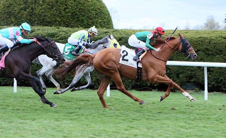 First Premio wins an April 5 allowance at Keeneland