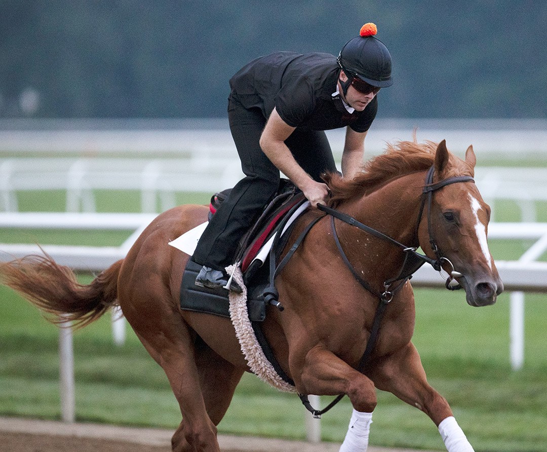 First Captain trains at Saratoga Race Course on July 28
