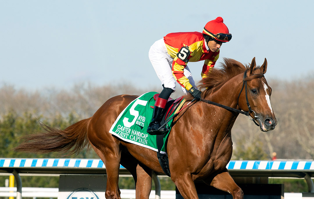 First Captain finishes seventh in the 2022 Carter Handicap at Aqueduct