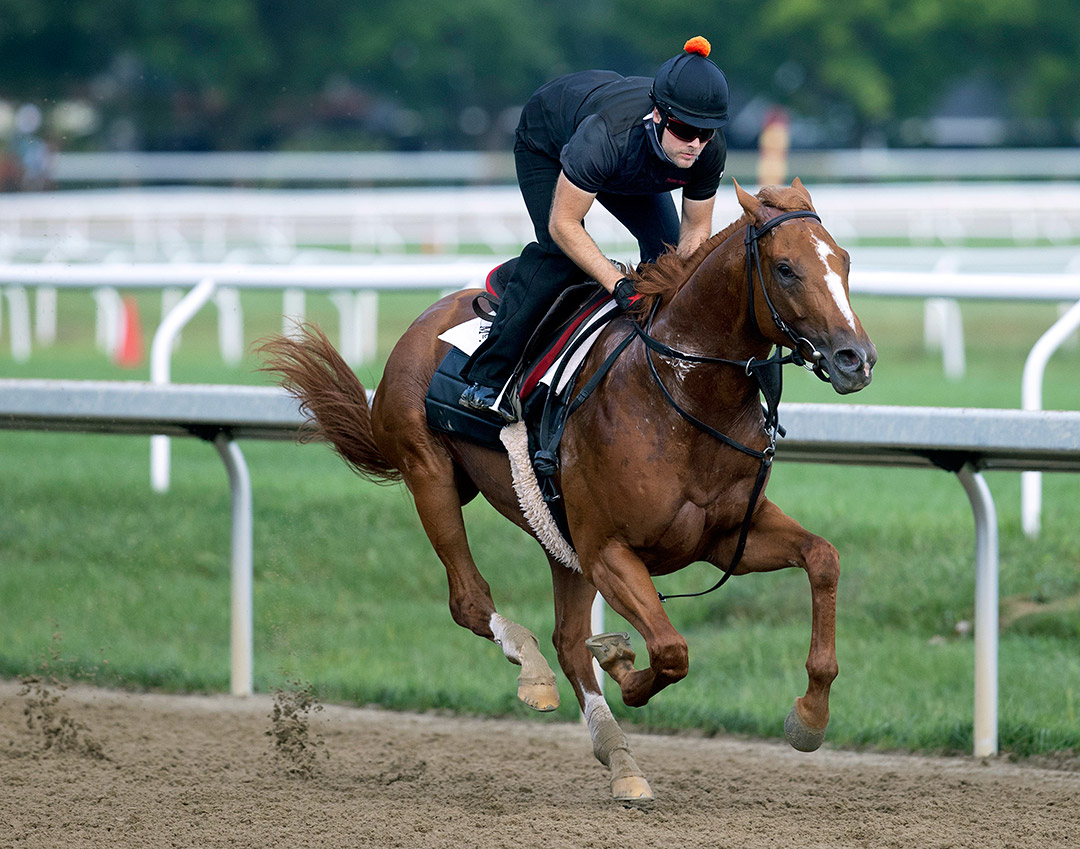 First Captain trains at Saratoga Race Course in August 2021