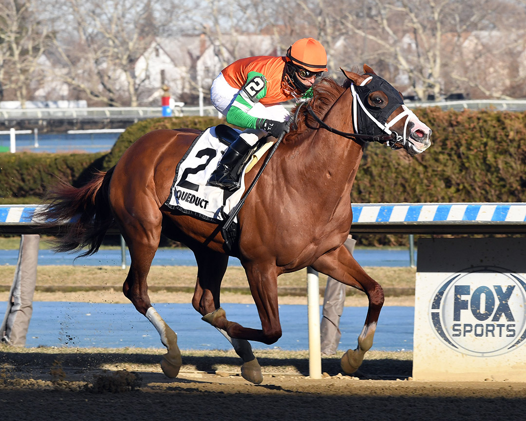 First Constitution wins the 2022 Jazil Stakes at Aqueduct Racetrack