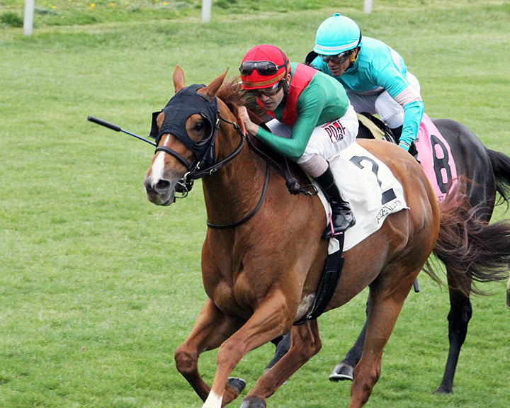 First Premio wins an April 5, 2019, allowance at Keeneland