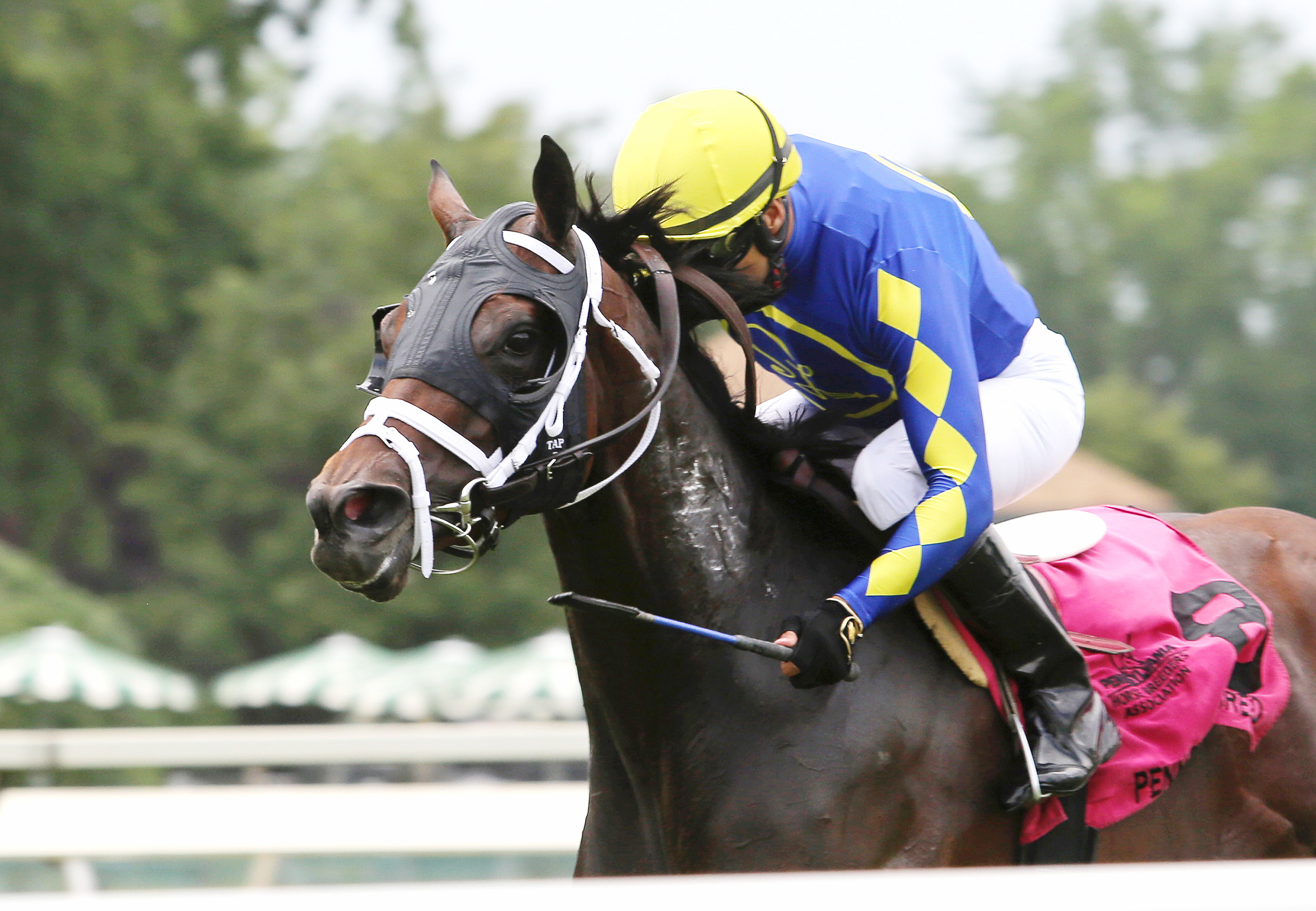 Firsthand Report wins the 2017 Power By Far Stakes
