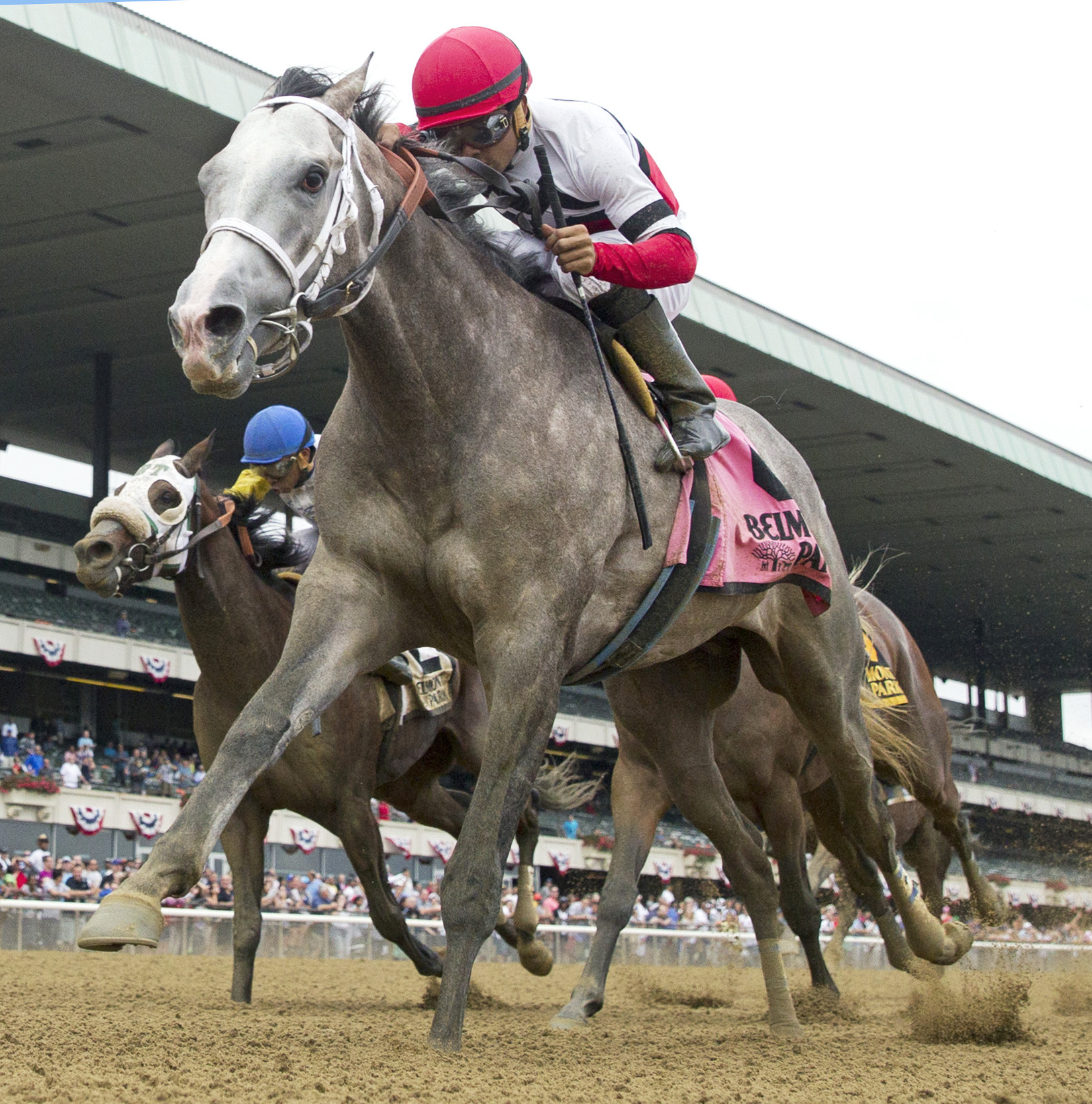 Fish Trappe Road wins the 2016 Dwyer Stakes