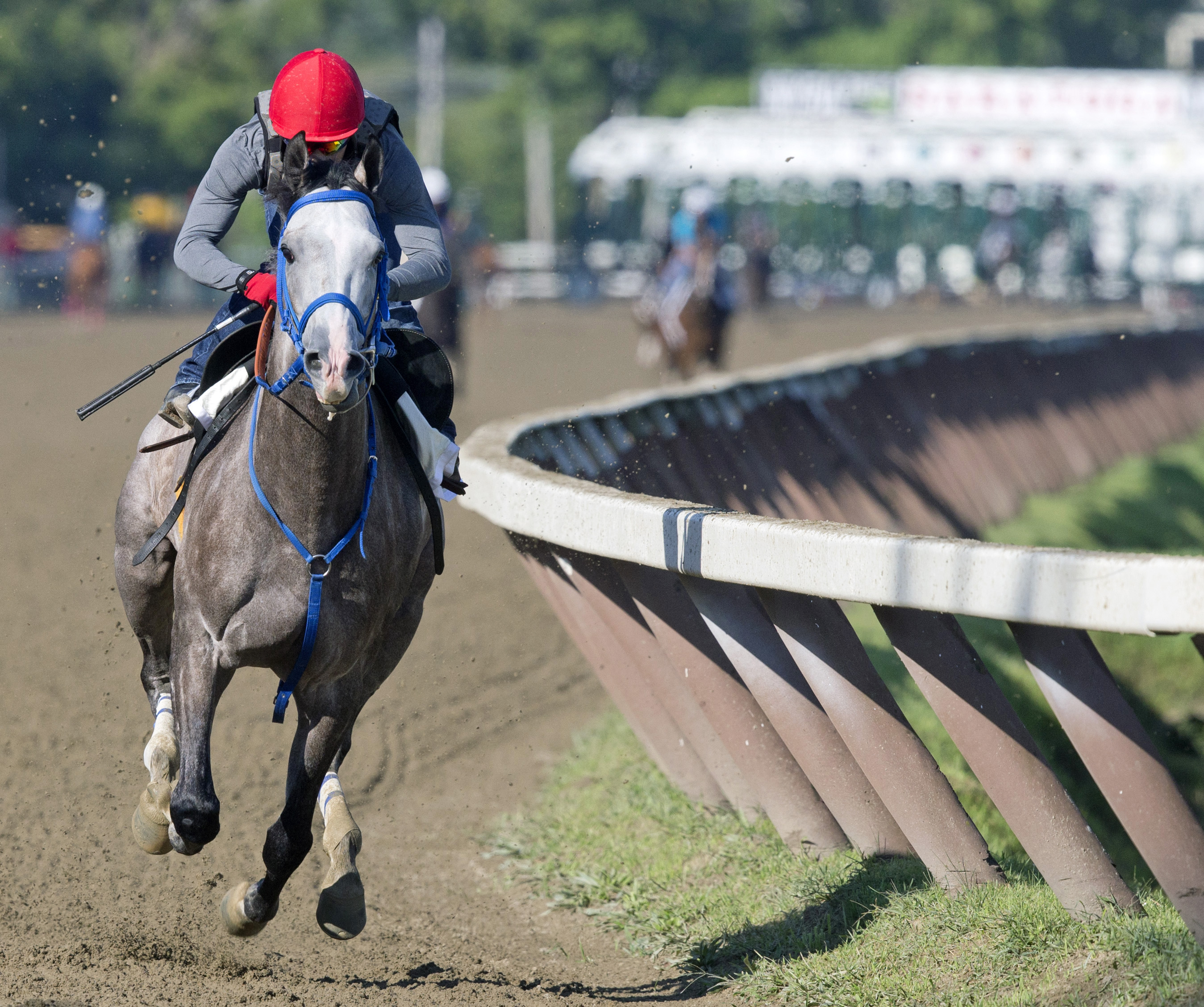 Fish Trappe Road trains at Saratoga on Aug. 19