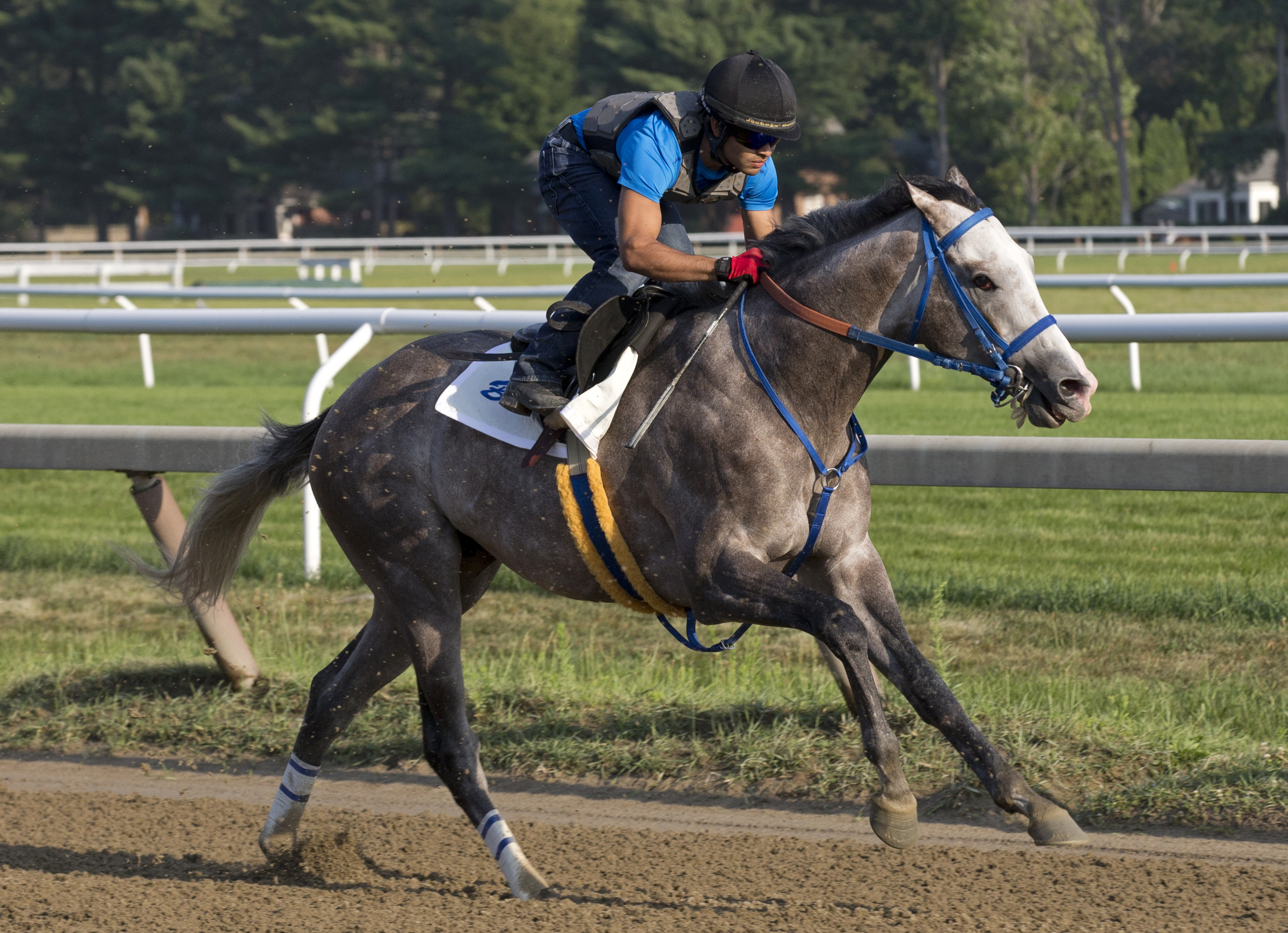 Fish Trappe Road trains at Saratoga on July 28