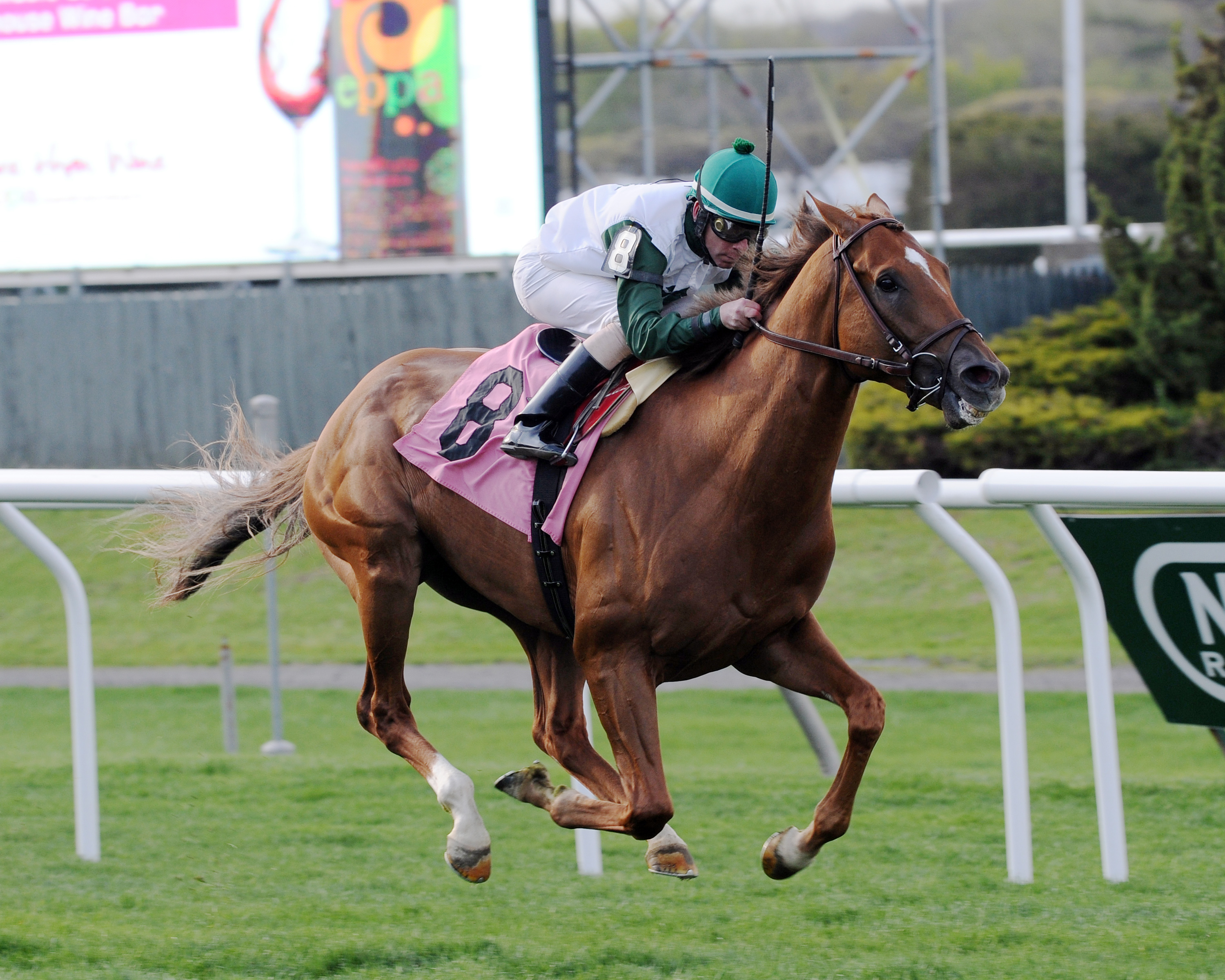 Five Iron wins the Fort Marcy