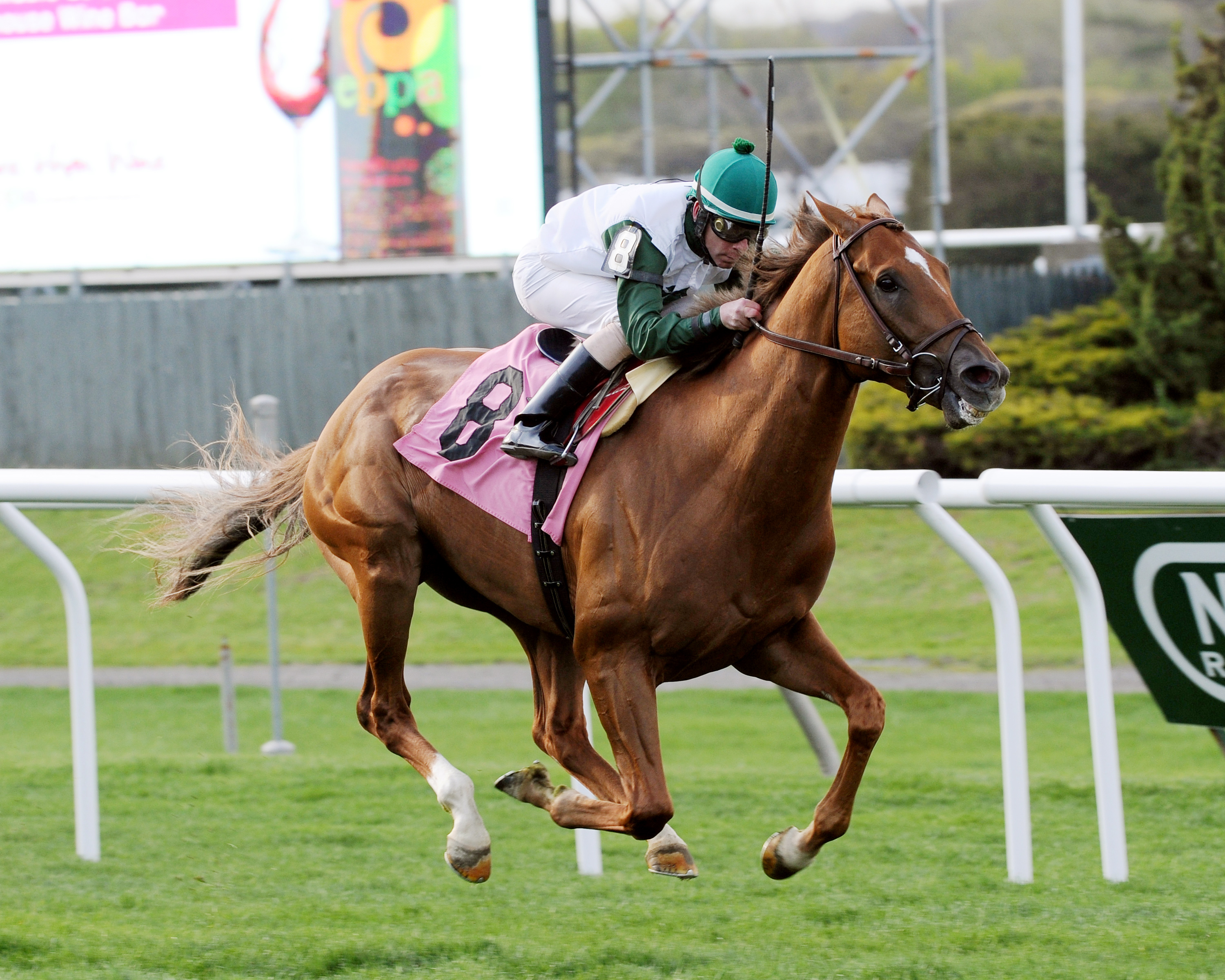 Five Iron wins the Fort Marcy