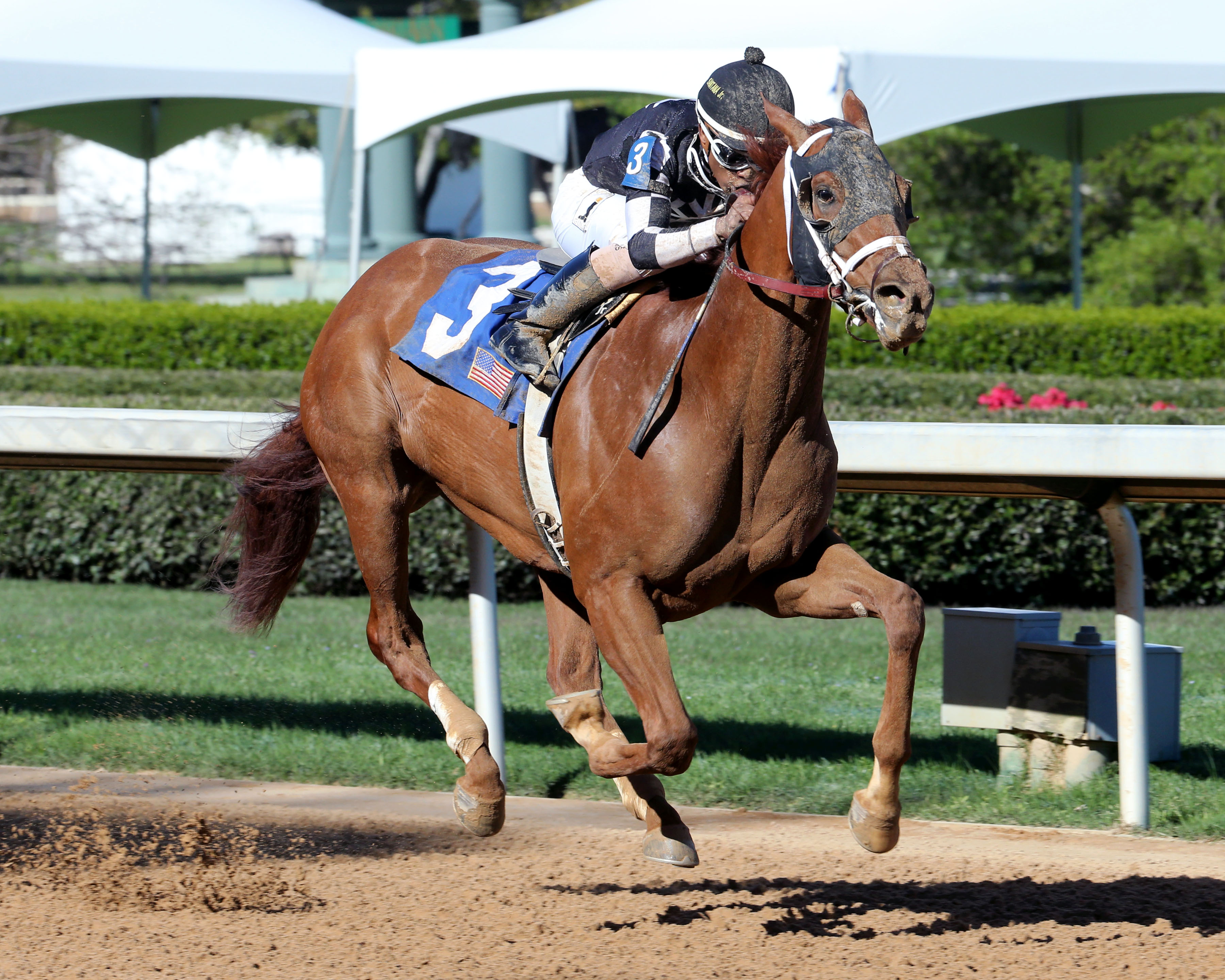 Five O One wins the 2017 Rainbow Stakes