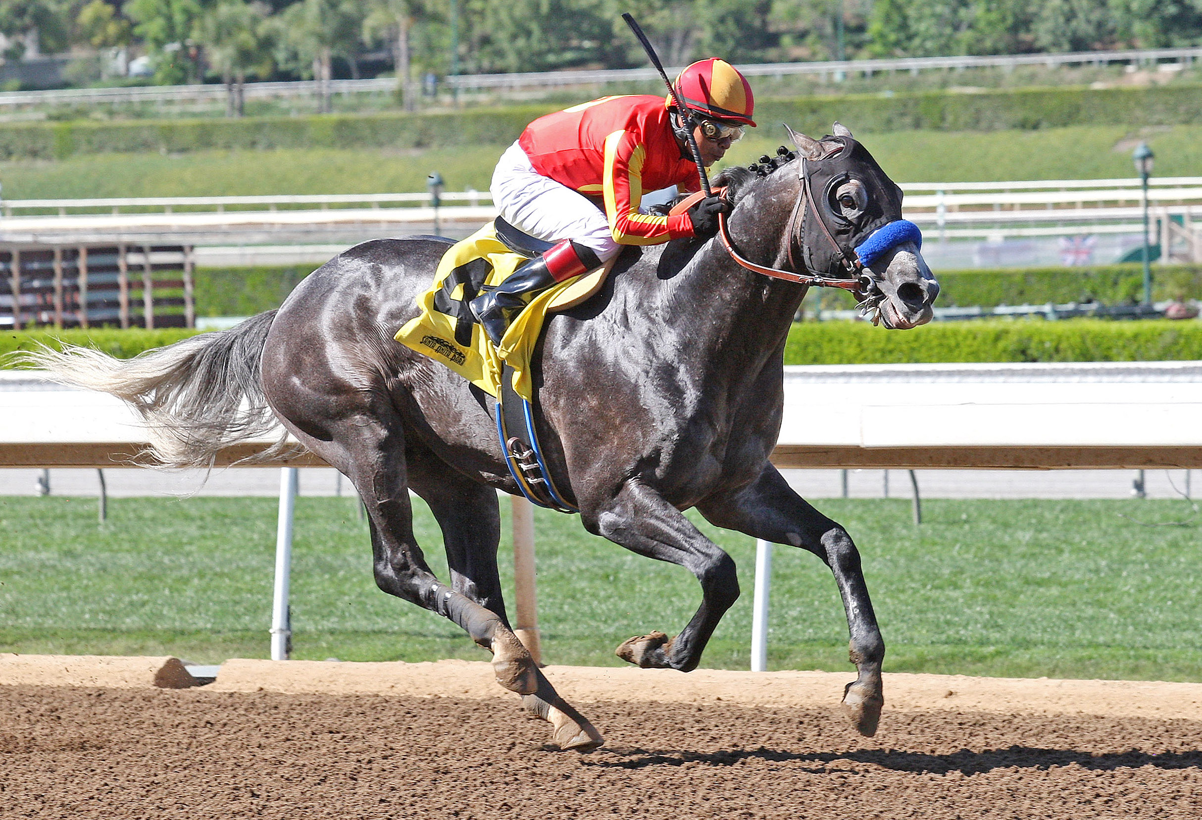 Five Palms wins an allowance race