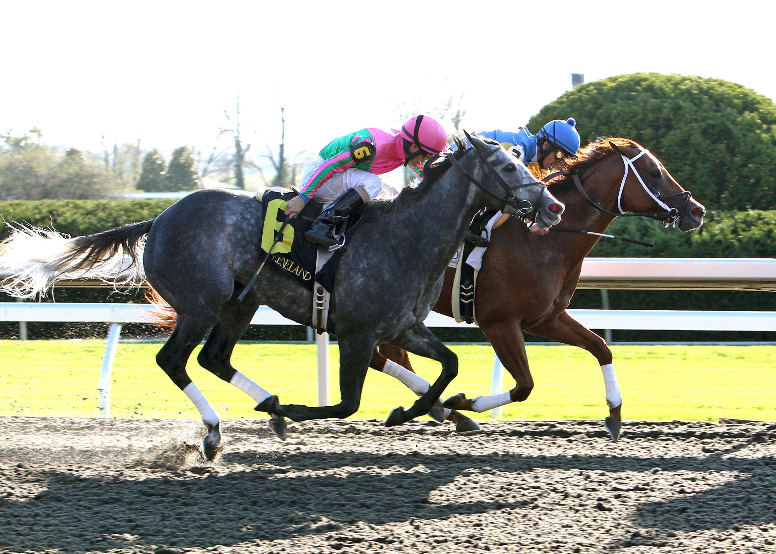 Five Star Fun/Keeneland