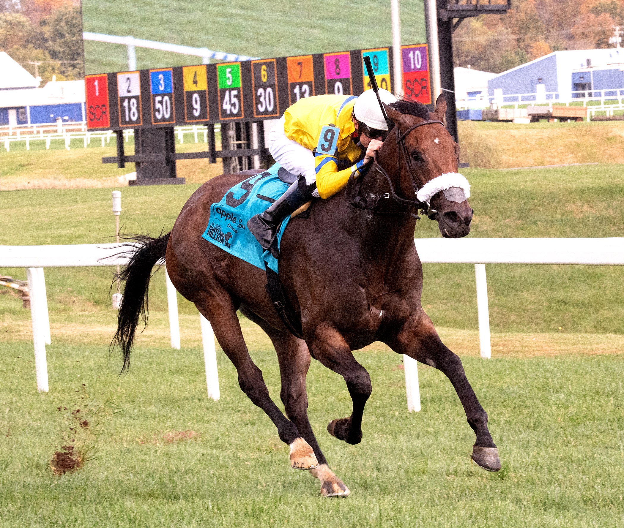 Fiya.Maryland Million Turf Sprint.10-24-2020