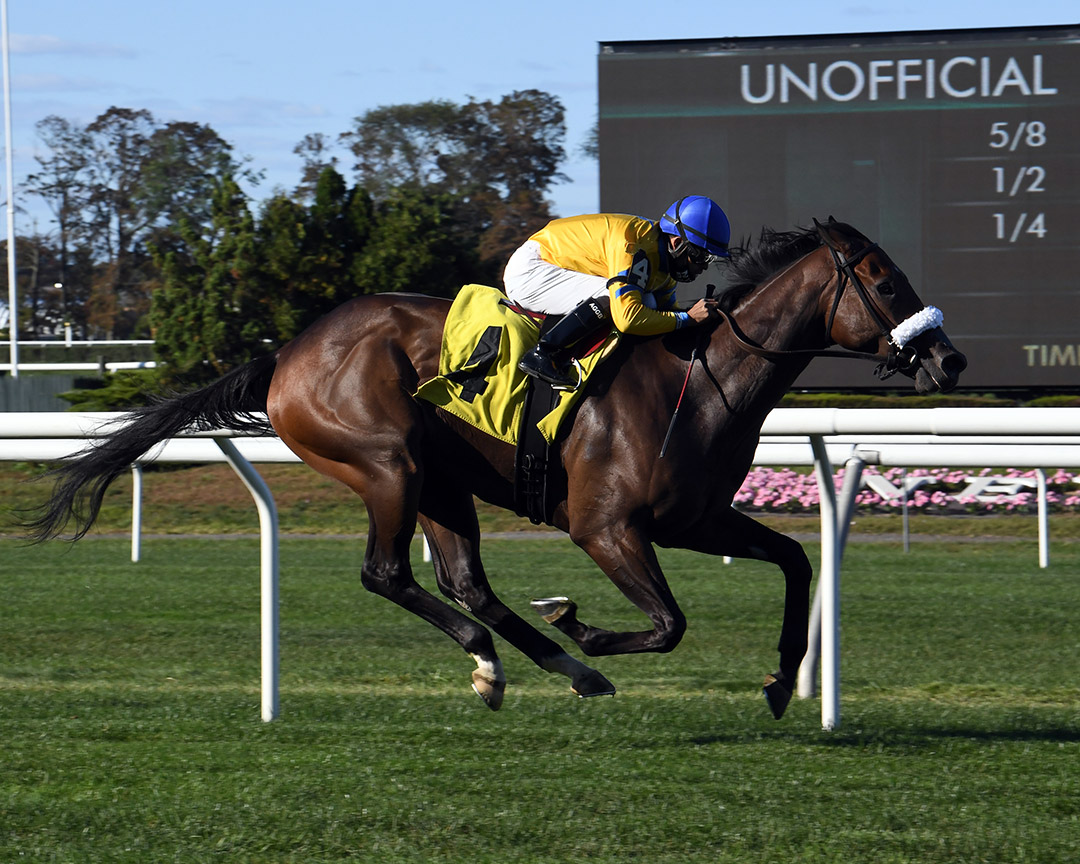 Fiya wins a Sept. 20 allowance race at Belmont Park