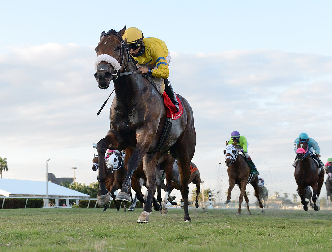 Fiya wins the 2020 Claiming Crown Canterbury Stakes