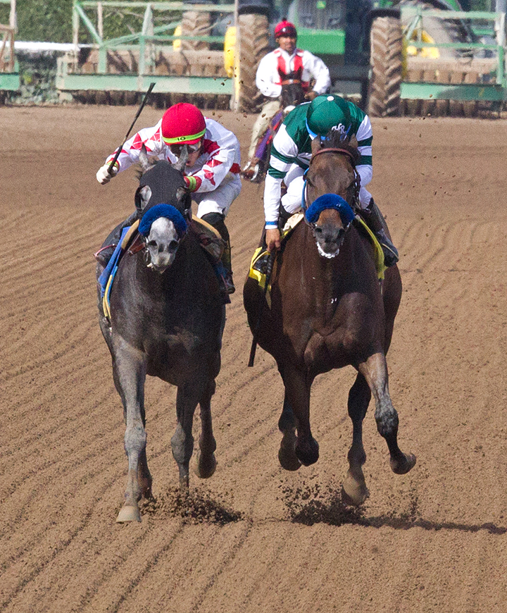 Flagstaff (right) wins the 2019 Damascus Stakes at Santa Anita Park