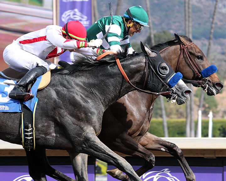 Roadster (outside) finishes second in the 2019 Damascus Stakes at Santa Anita Park