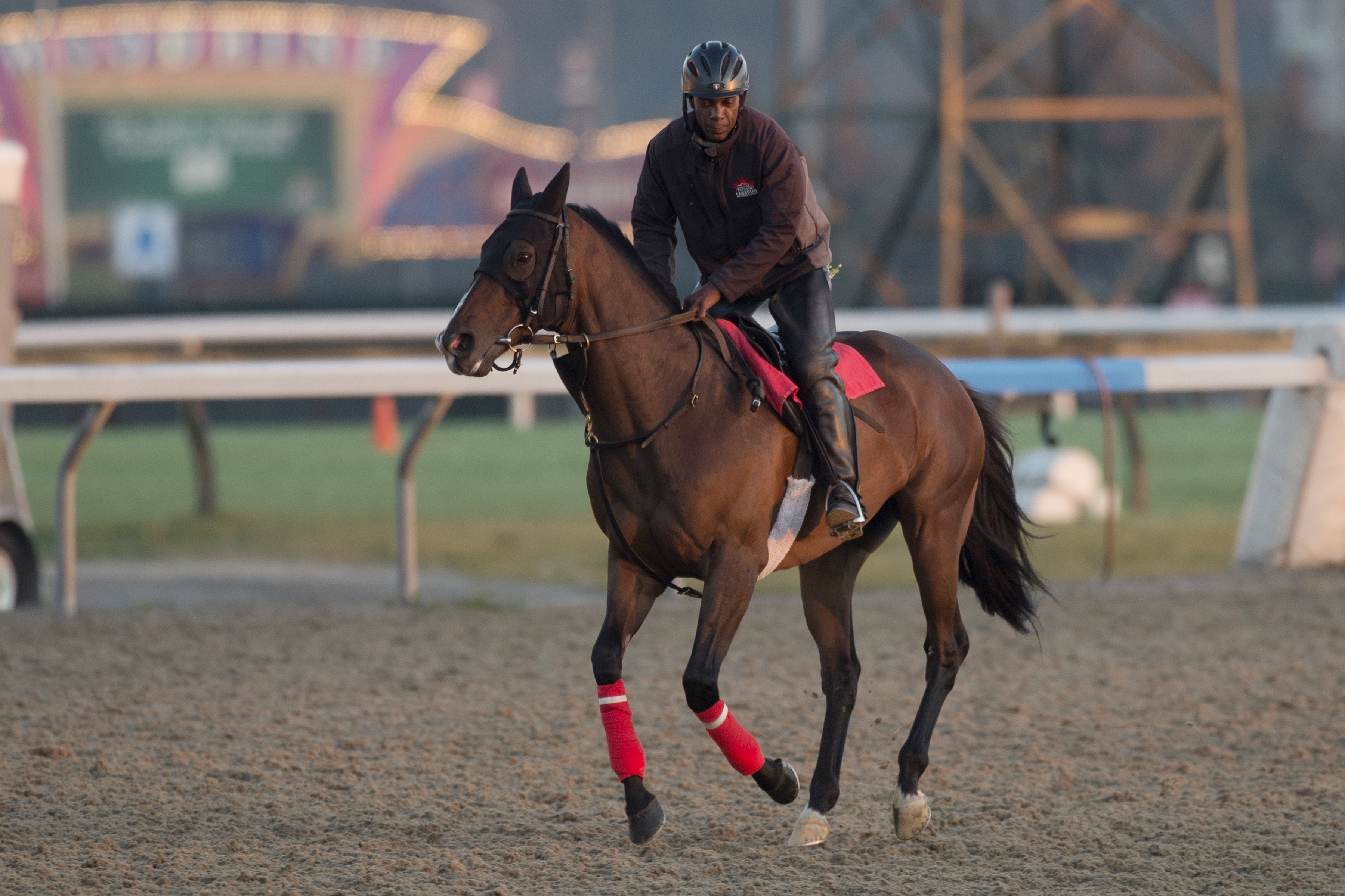 Flamboyant trains at Woodbine on Oct. 10