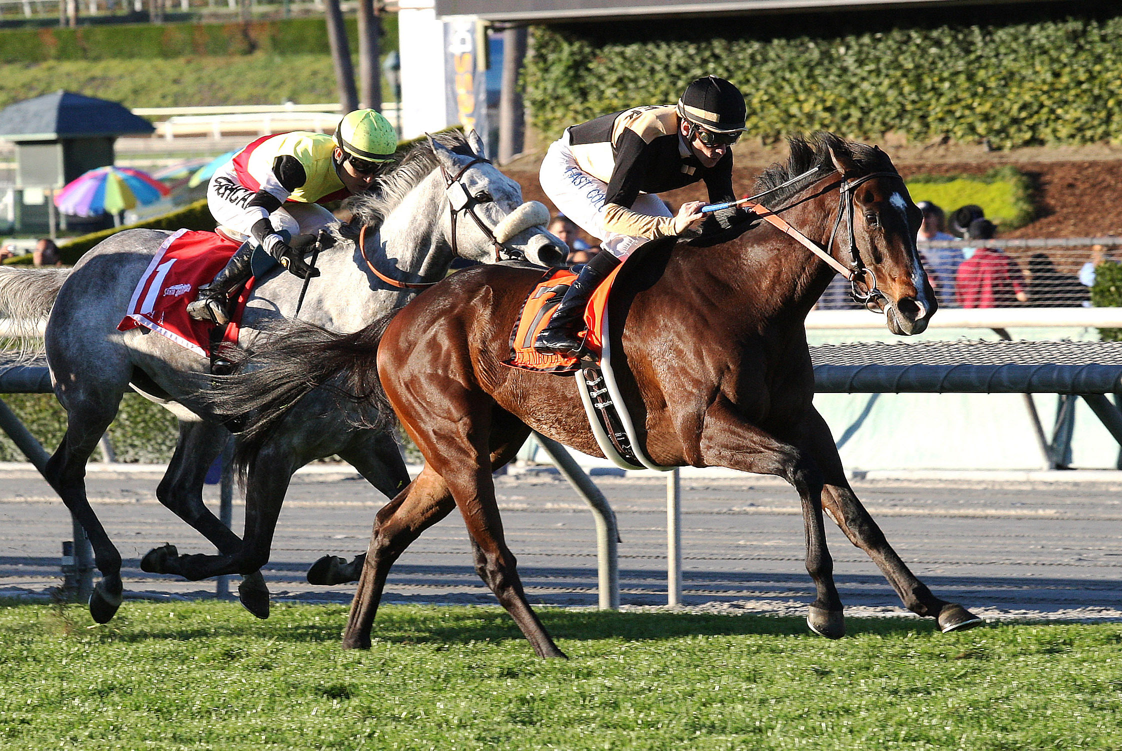 Flamboyant wins the San Marcos