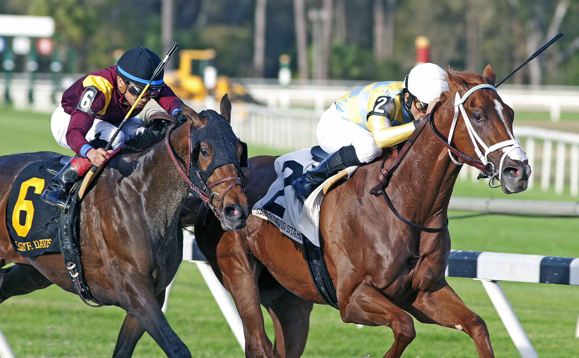 Flameaway holds off Catholic Boy in Sam F. Davis