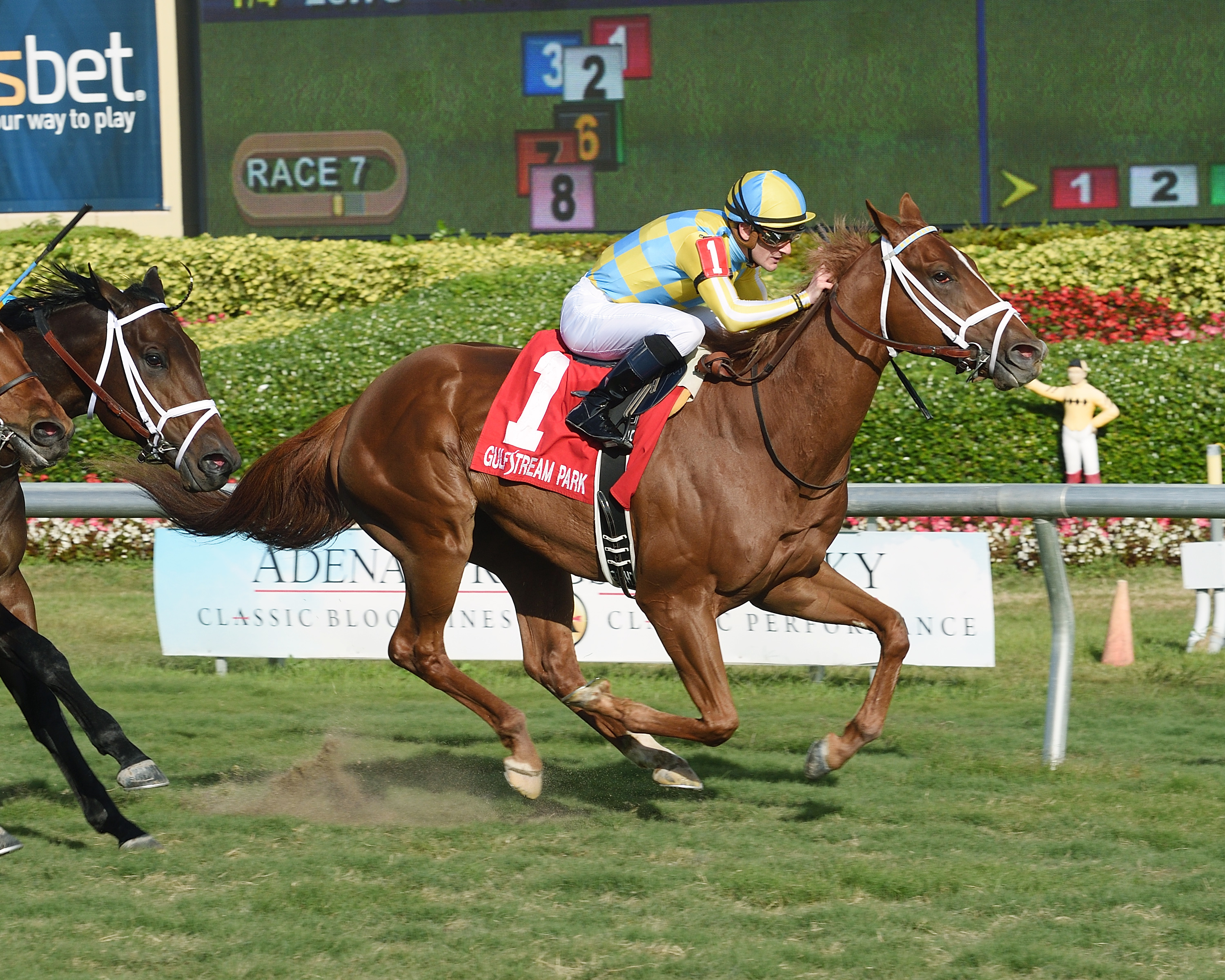 Flameaway wins the 2018 Kitten-s Joy Stakes