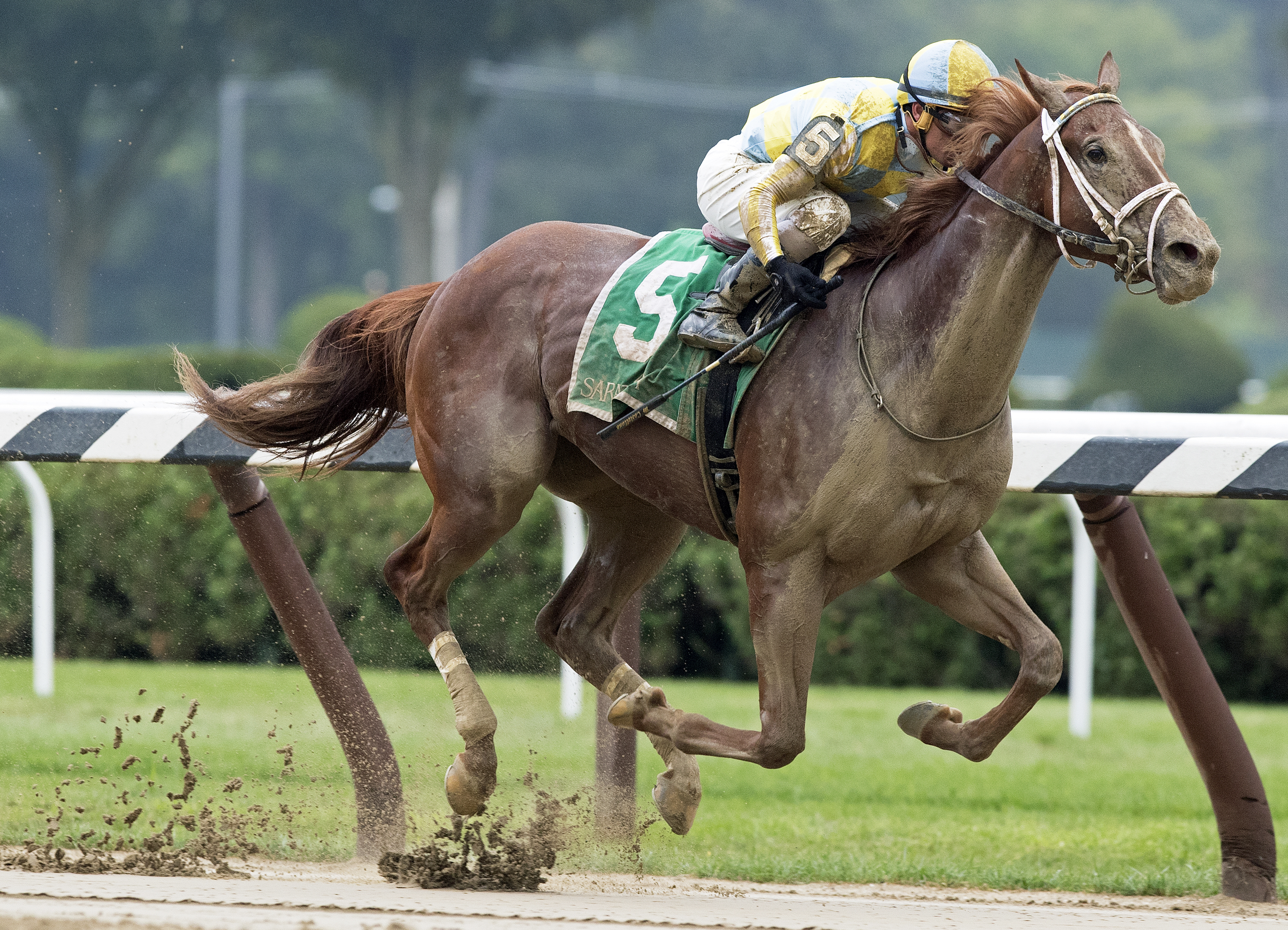 Flameaway wins the 2017 Skidmore