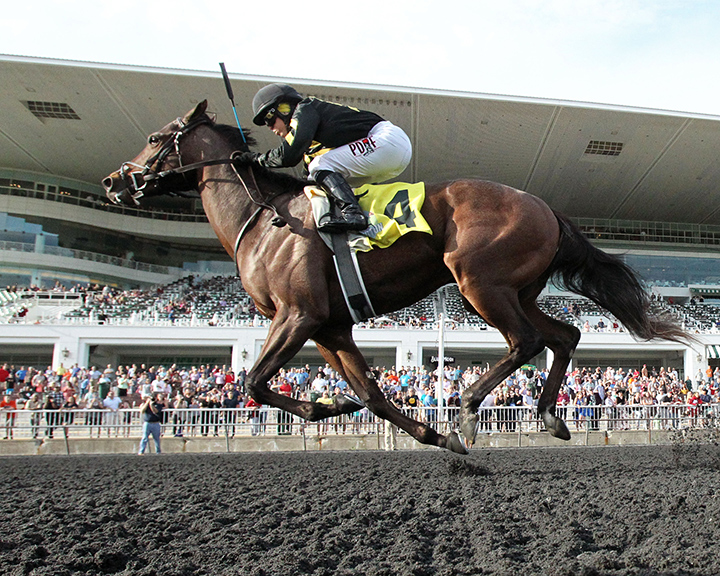 Flap Jack wins the 2019 Arlington-Washington Futurity at Arlington Park