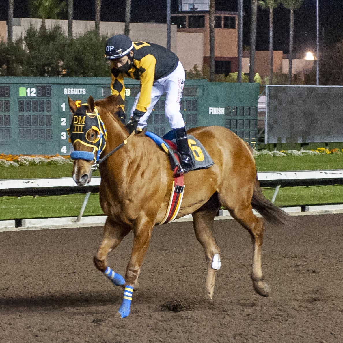 Flash Bak - Winter Derby Los Al