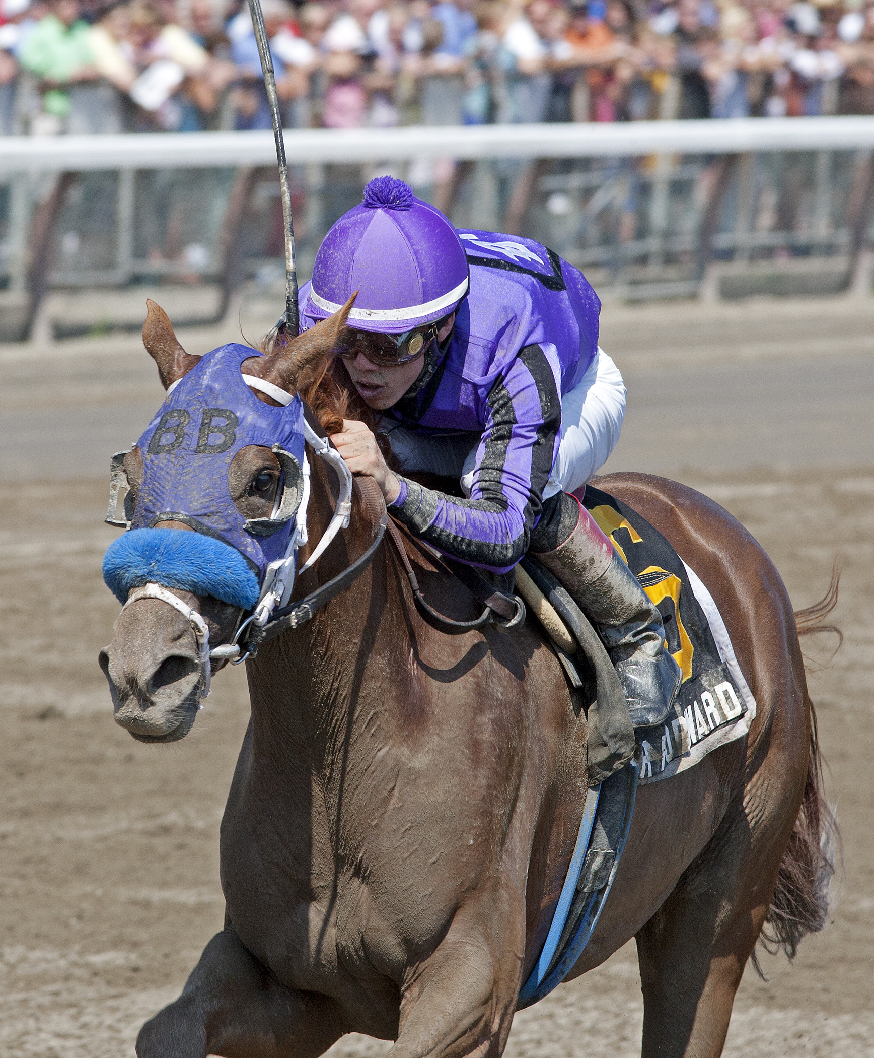 Flash Forward 8-28-2013