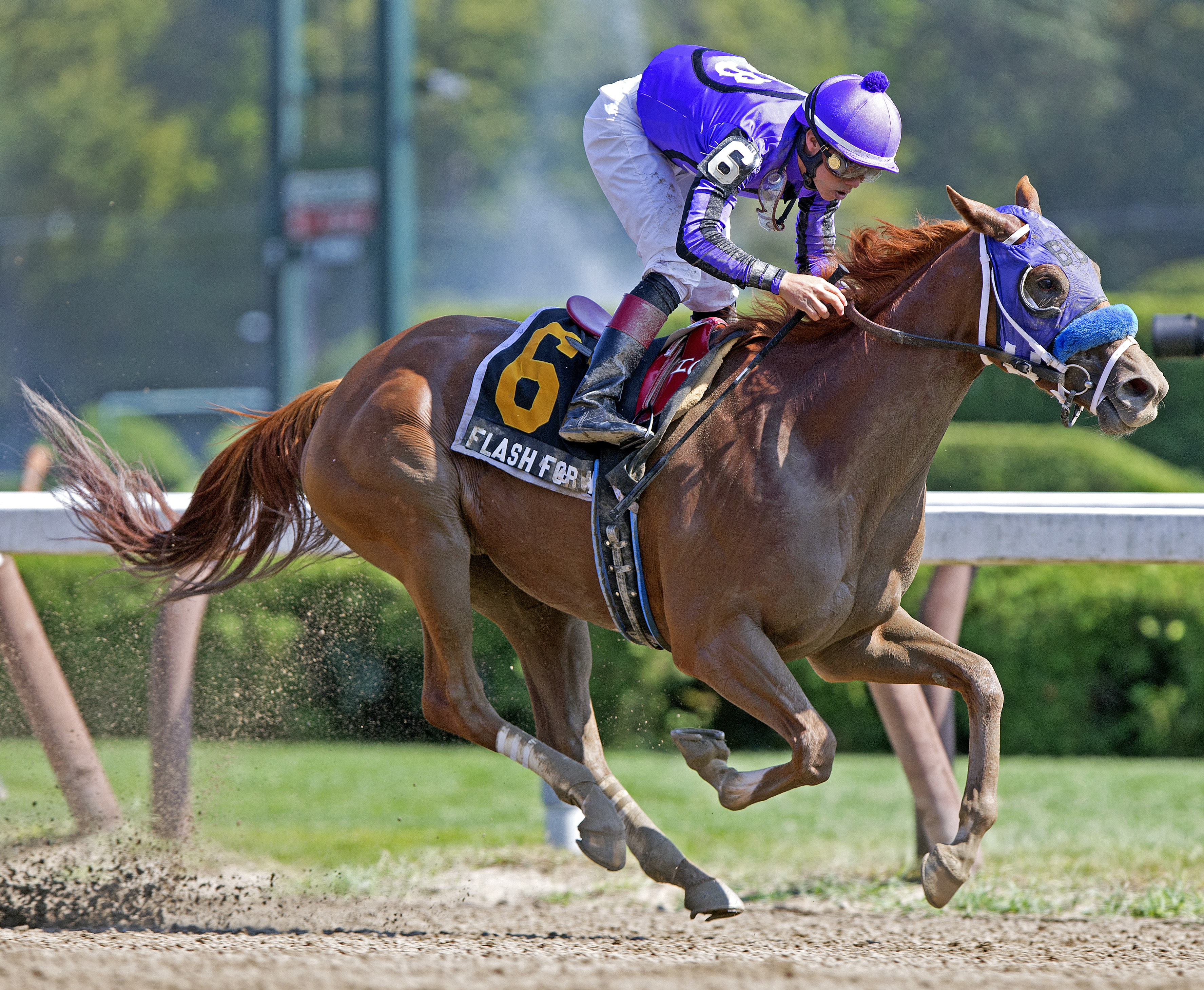 Flash Forward, My Flag Stakes