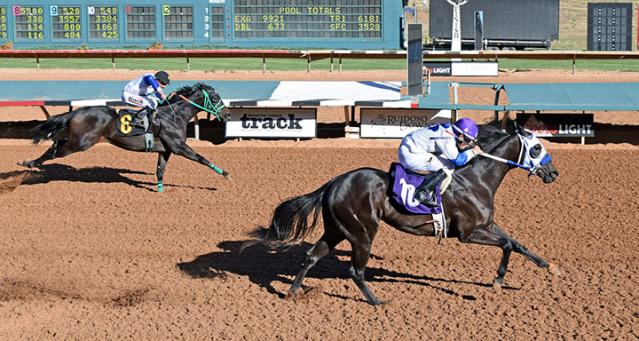 Flash and Roll wins a May 25 futurity trail at Ruidoso Downs
