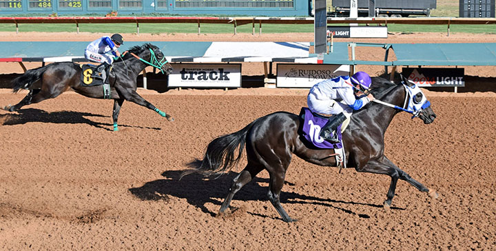 Flash and Roll wins a May 25, 2018, futurity trail at Ruidoso Downs