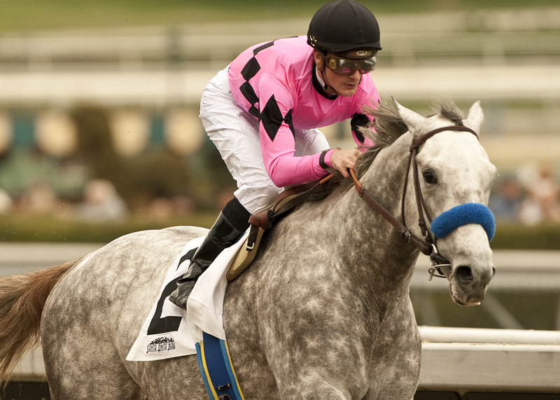 Flashback, Lewis Stakes