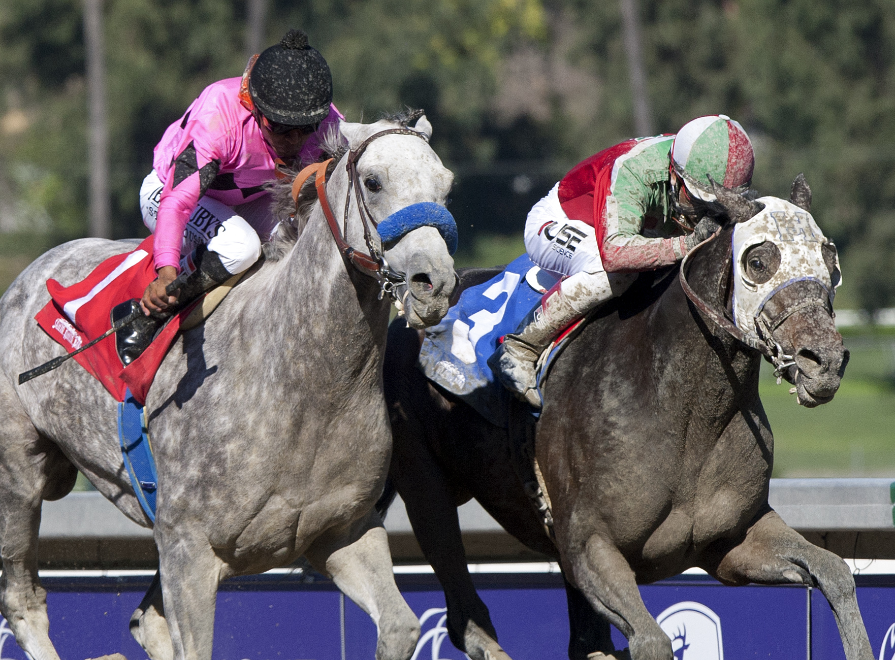 Flashback and Zeewat battle in the Damascus Stakes
