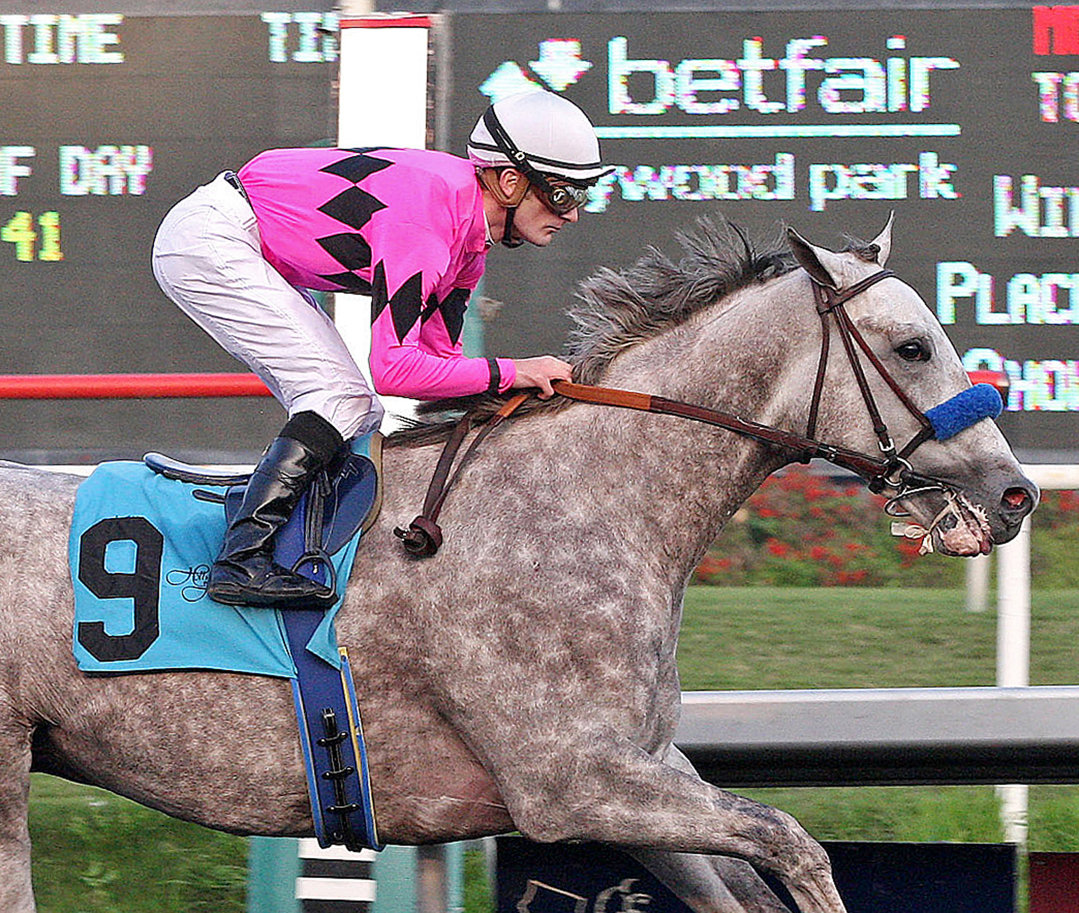 Flashback/maiden win