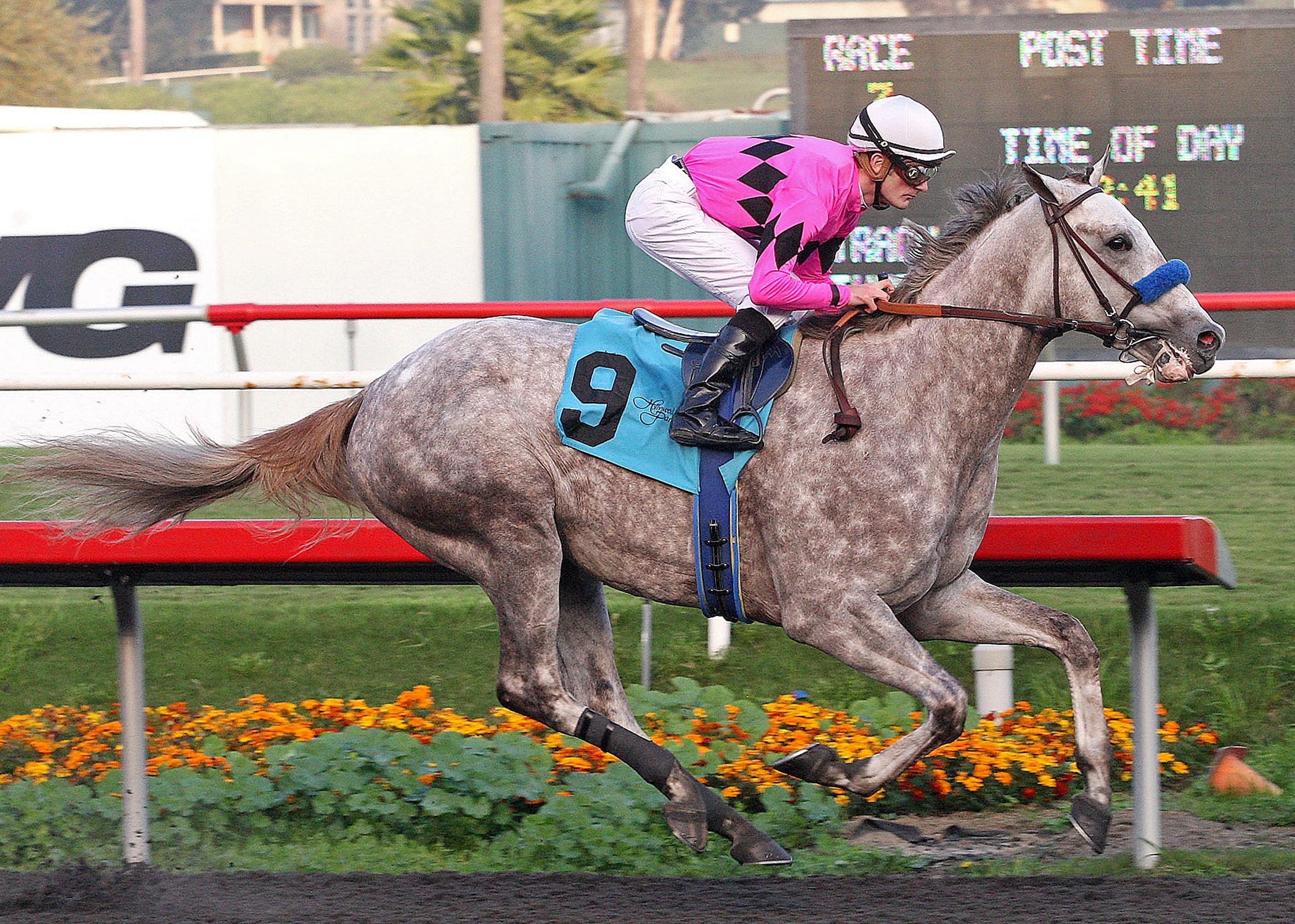 Flashback, maiden win