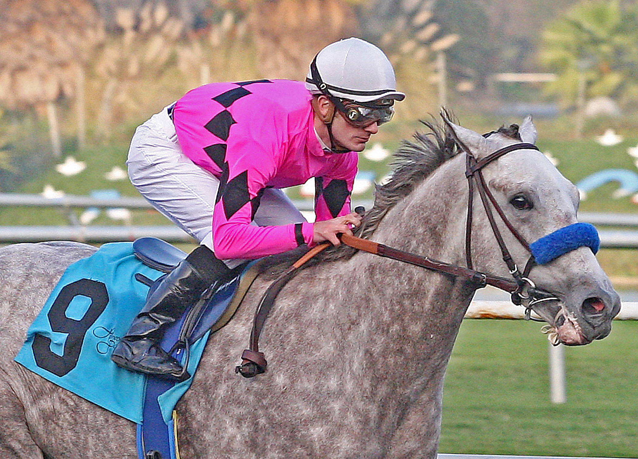 Flashback, maiden win