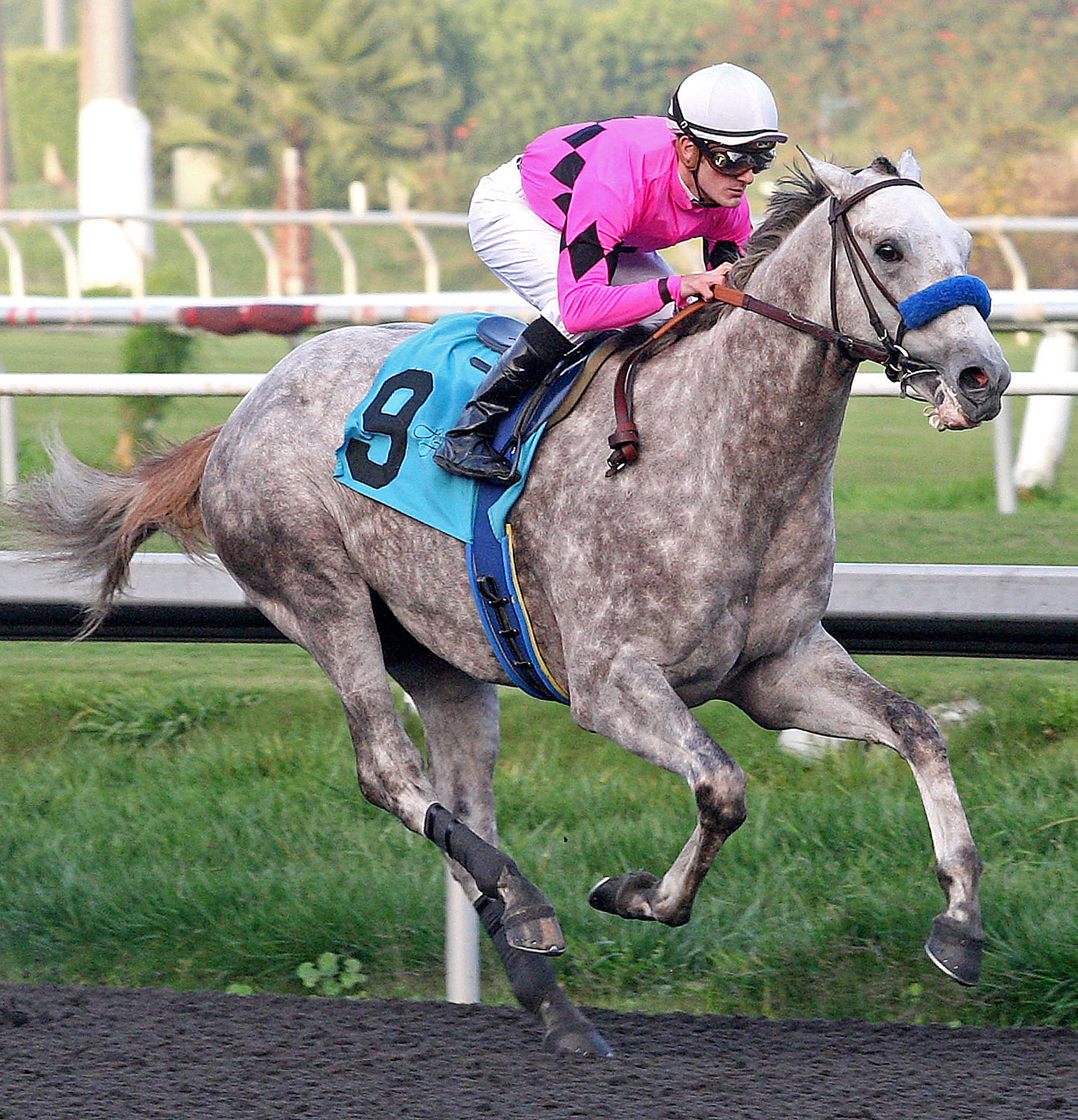 Flashback, maiden win