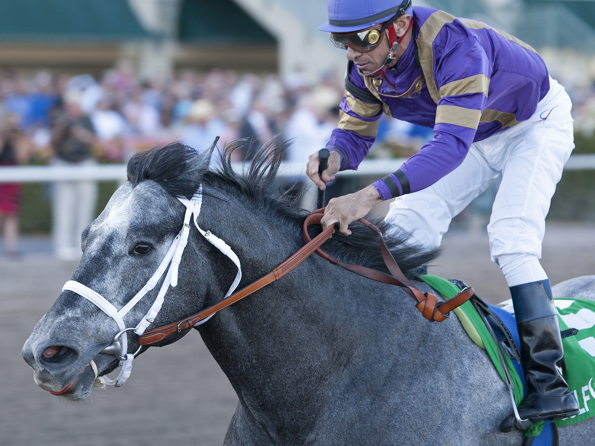 Flashpoint wins the Hutcheson