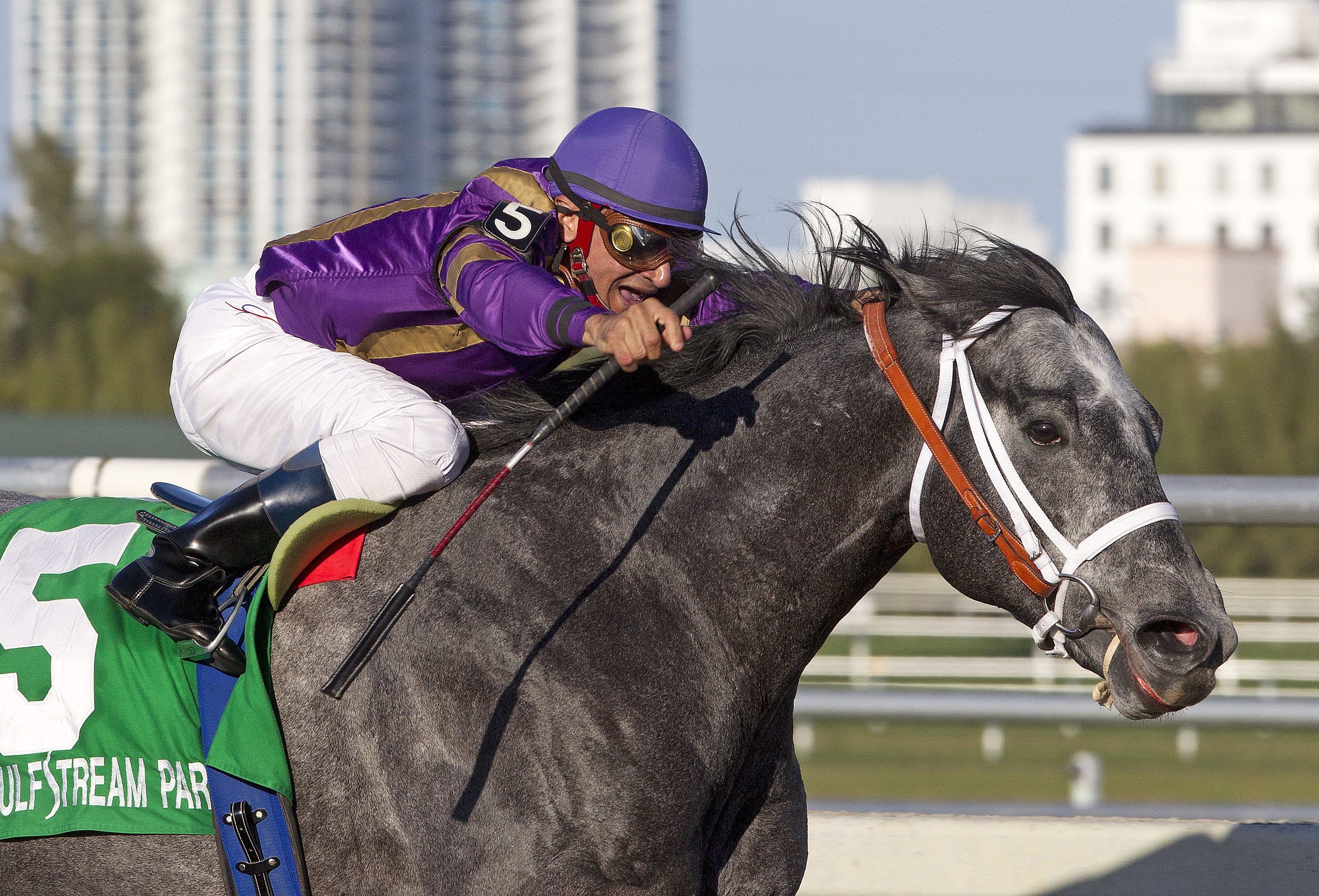 Flashpoint, February 2011
