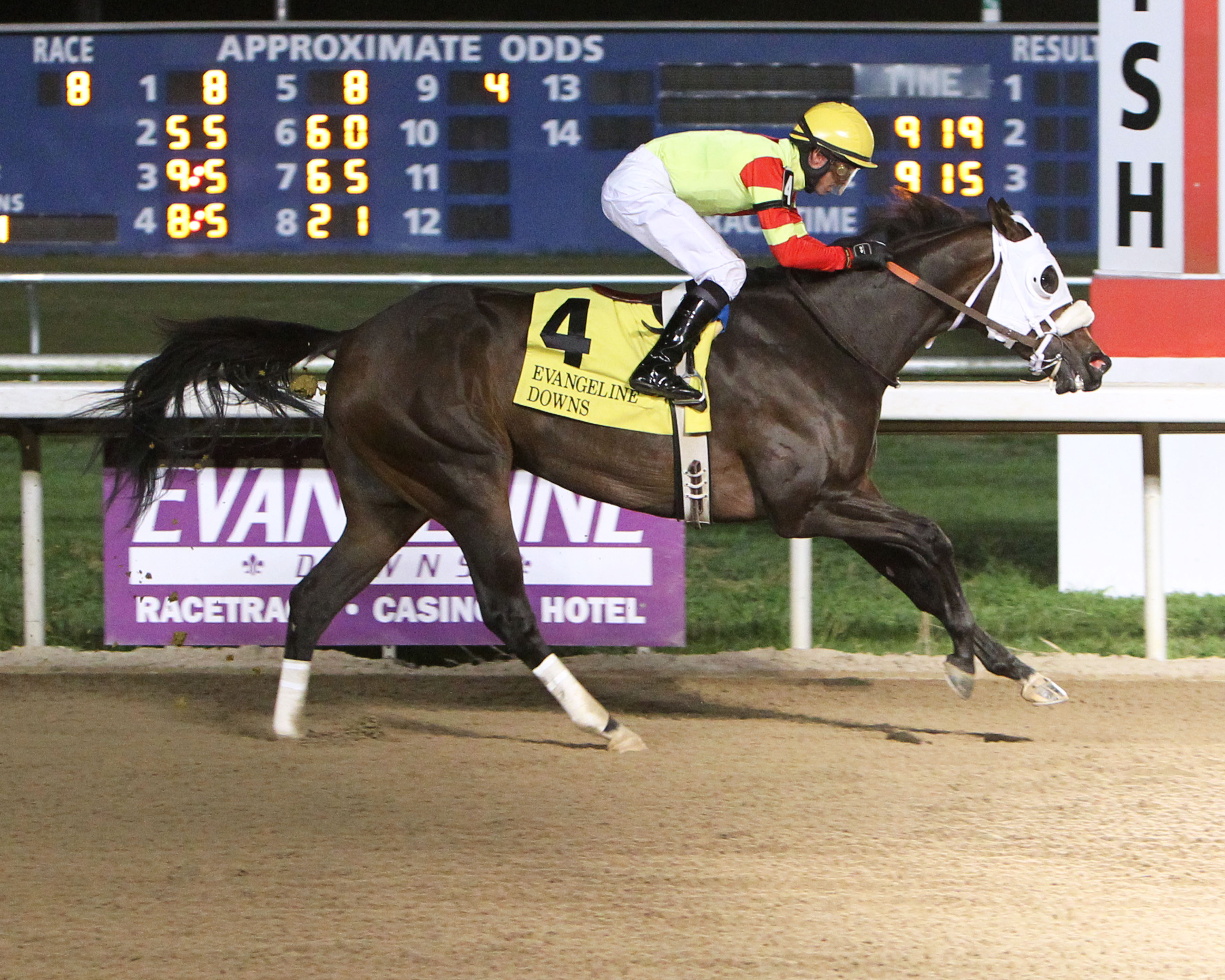 Flashy Appeal wins 2015 Starlet