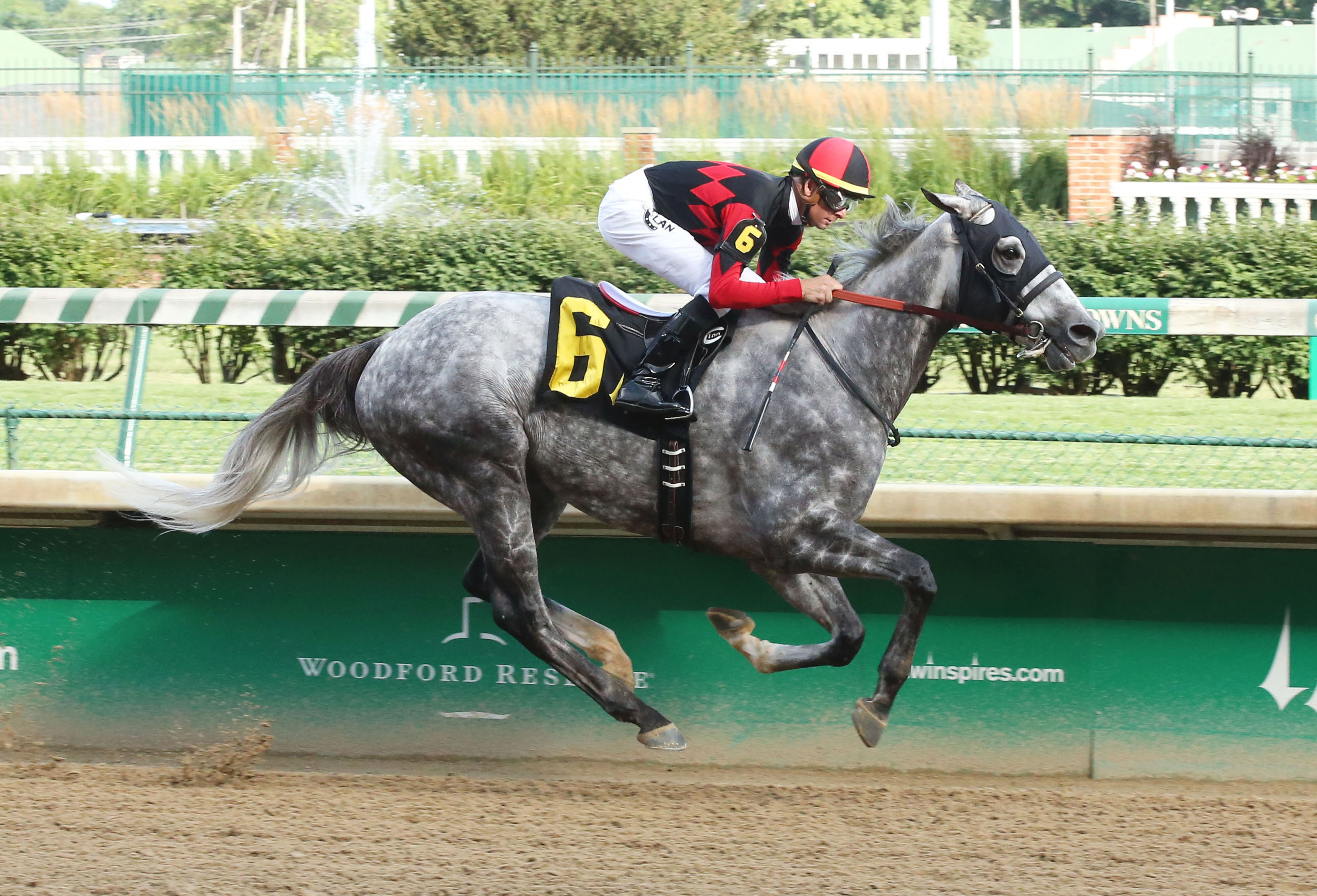 Flashy Jewel wins a June 30 allowance