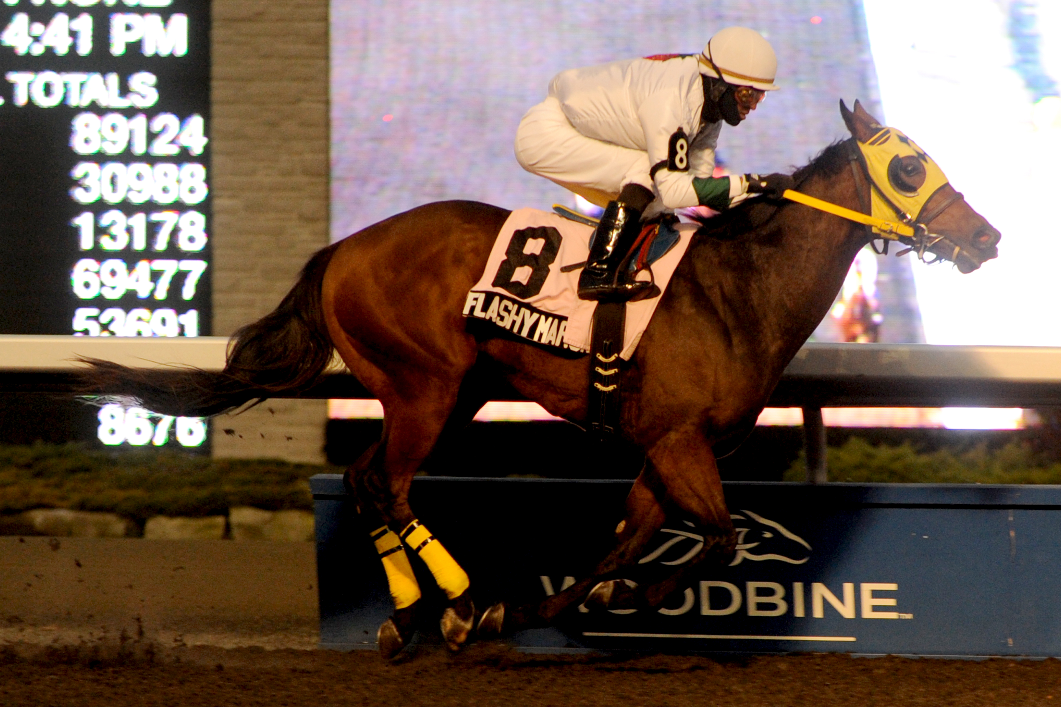 Woodbine: Flashy Margaritta gives Biamonte third Frost King Stakes