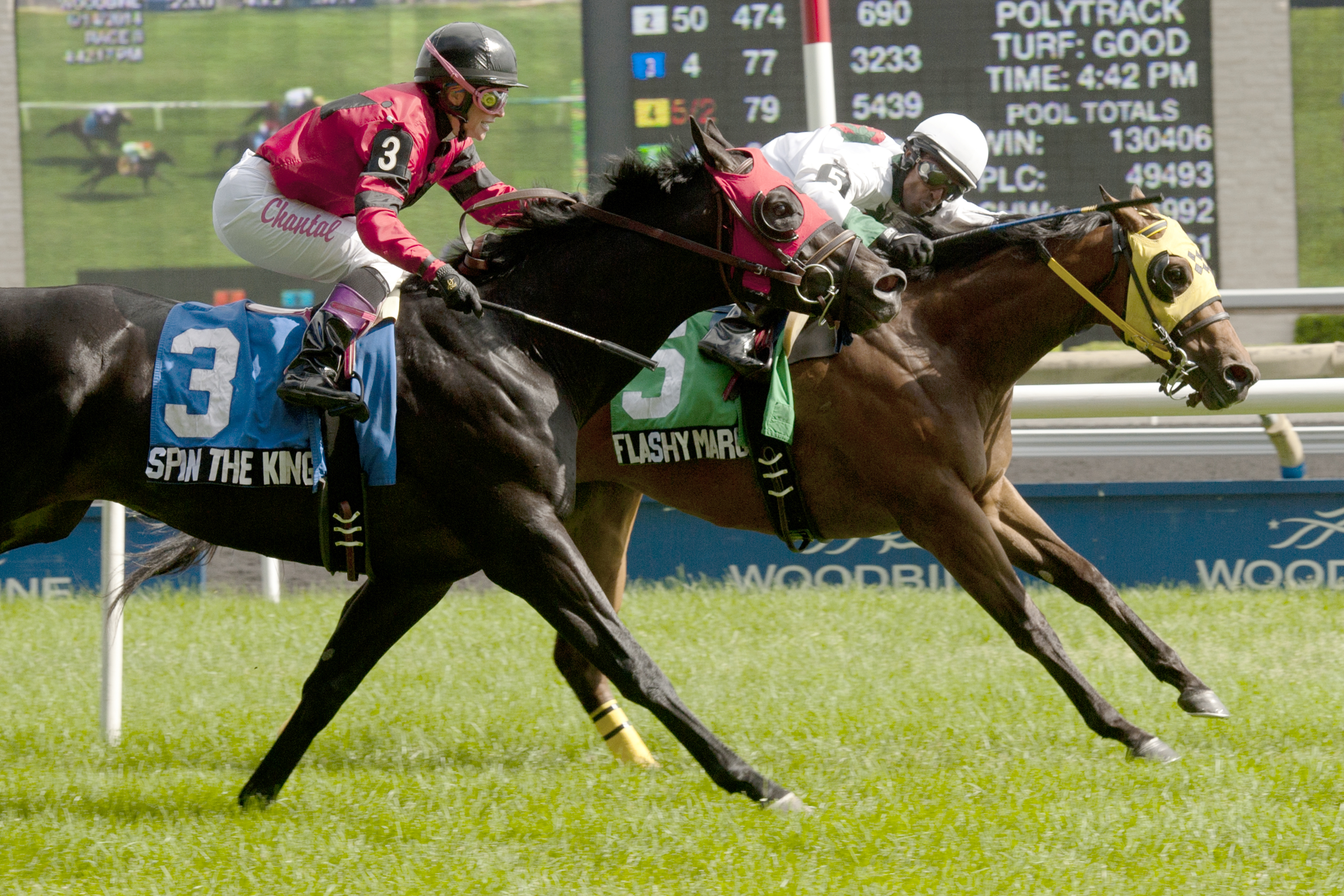 Flashy Margaritta wins the Bold Ruckus