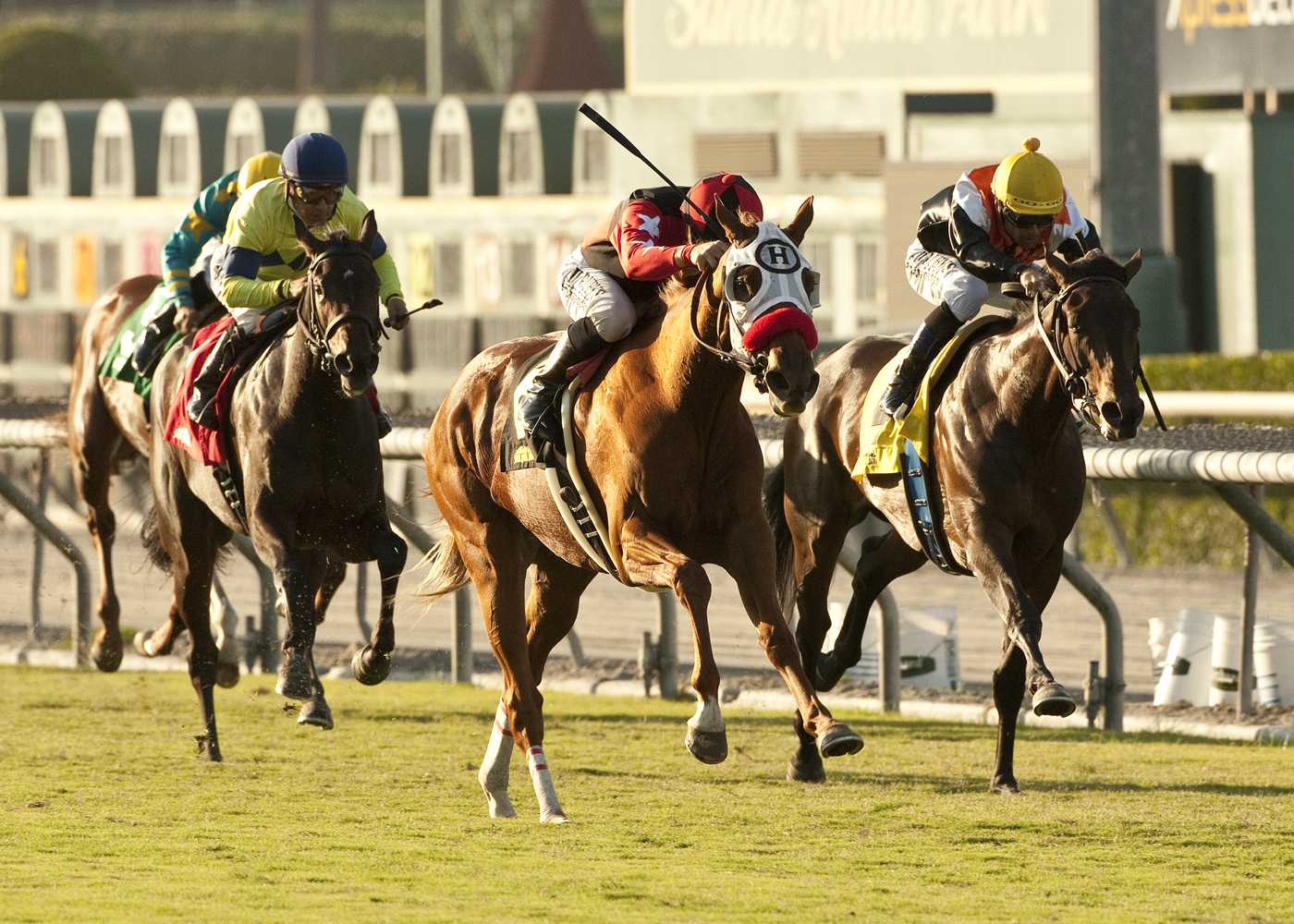 Flashy Ways, Wishing Gate, Surfer Girl Stakes