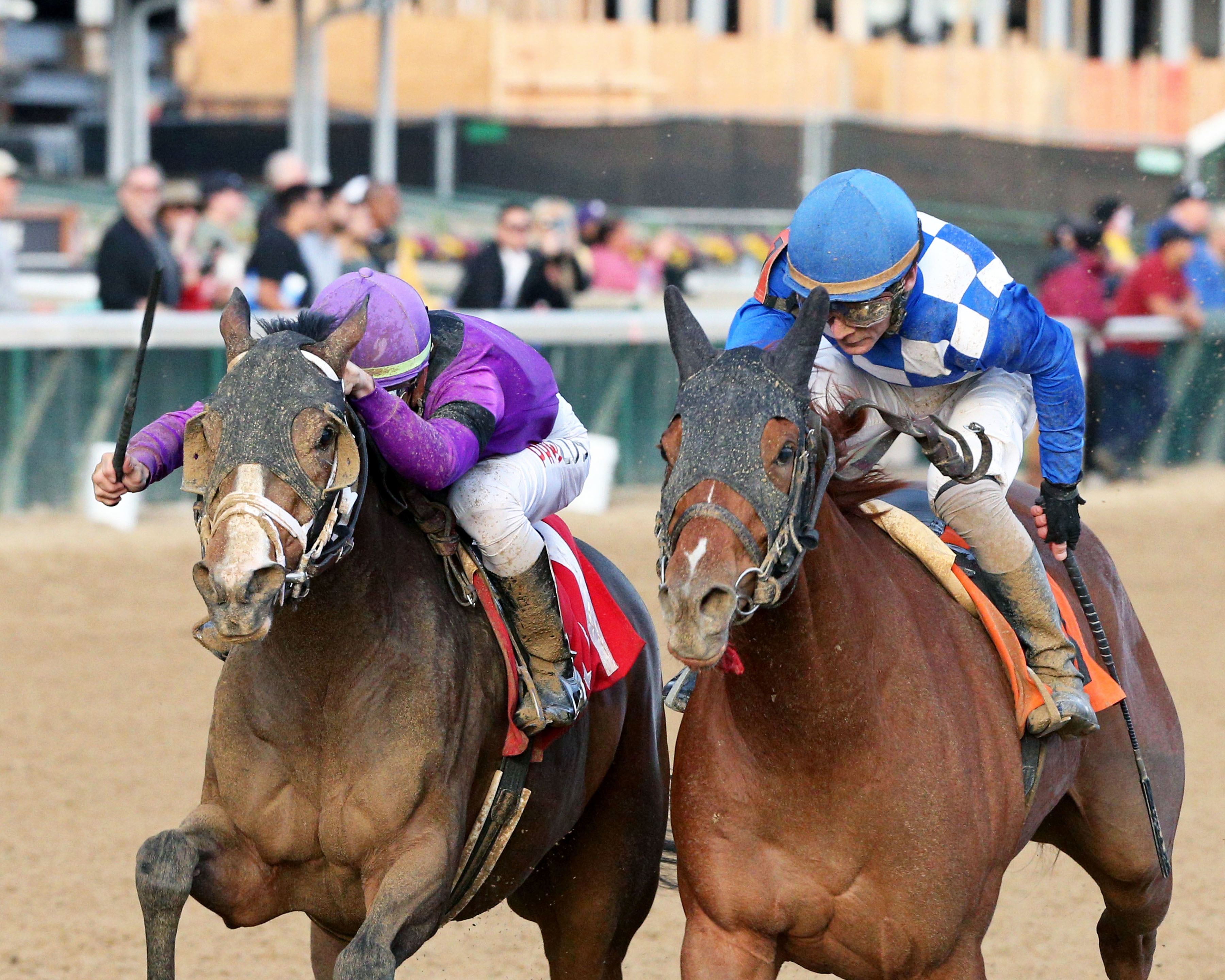 Flat Awesome Jenny (left) beats Larimar at Churchill Nov 17 2021