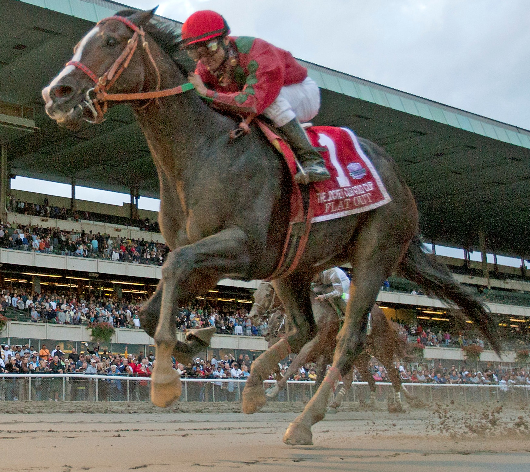 Flat Out, Jockey Club Gold Cup